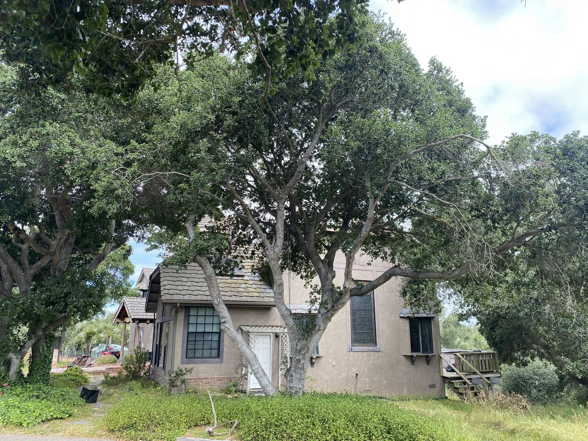 tree services company A1 Junk & Tree Solutions, LLC in Paso Robles, CA