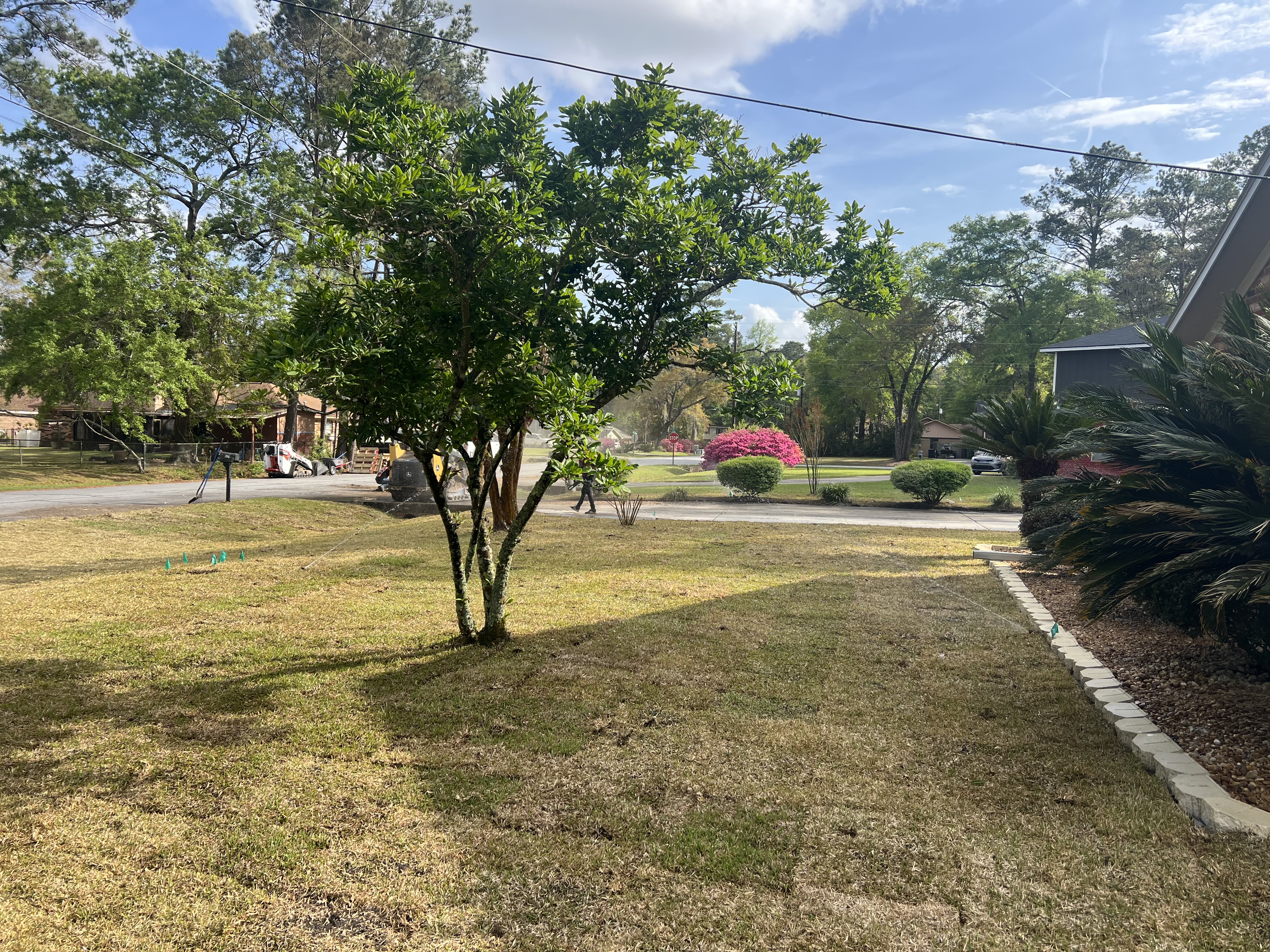  for Brandon Woodard’s Lawncare in Ludowici, GA