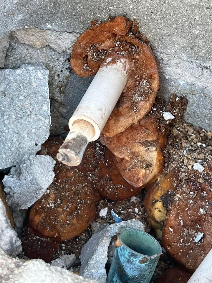  for Bro’s Master Plumbers in Auburndale, FL