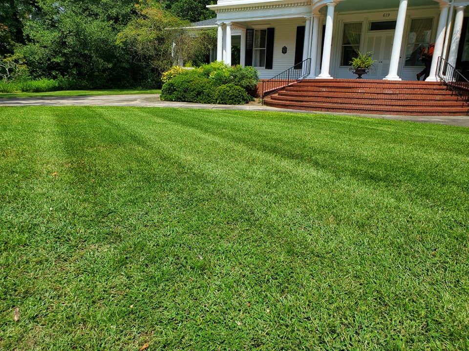  for Conley's Lawn Care in Goldsboro, NC