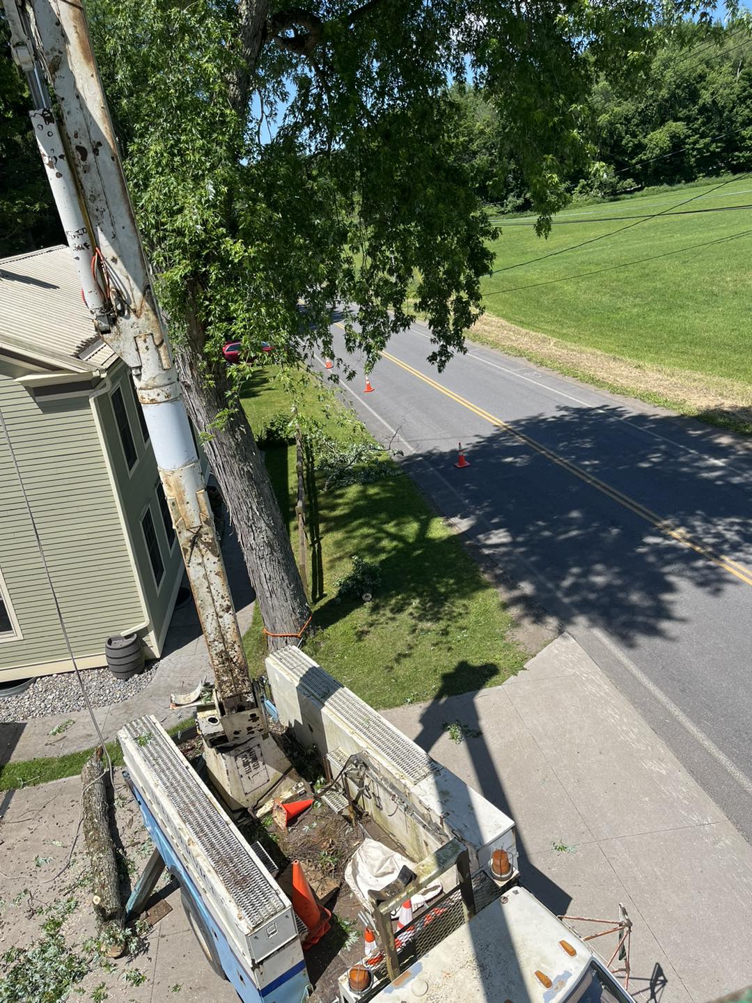 for Helfert Tree Service in Boonville, NY