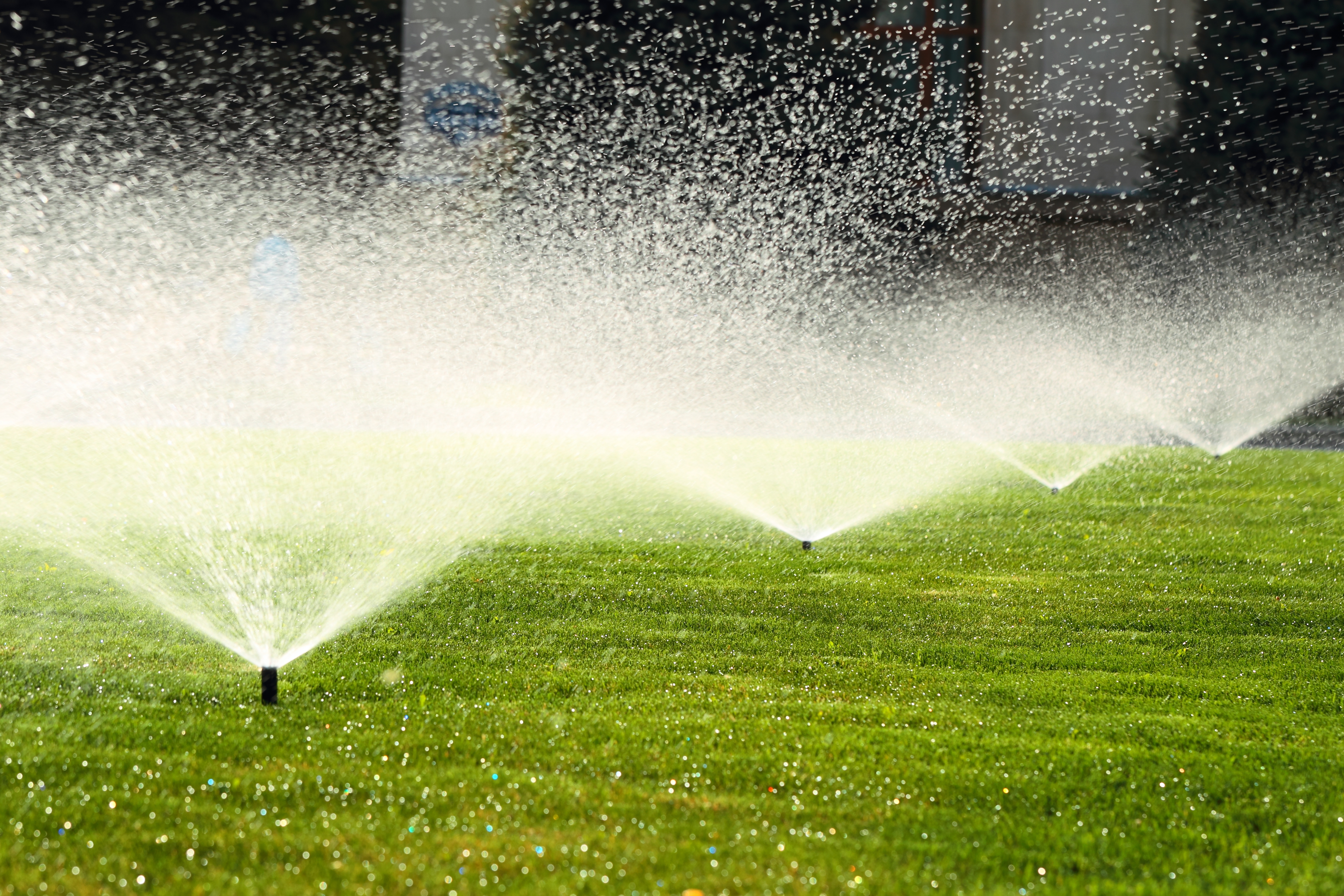  for Wake & Franklin Grounds Maintenance in Raleigh, NC