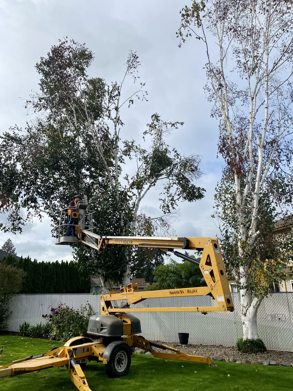  for Willamette Landscaping and Tree Services in Albany, OR