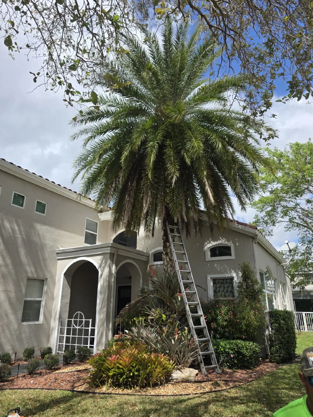  for Bridgewater Arbor Care LLC in Jupiter, FL