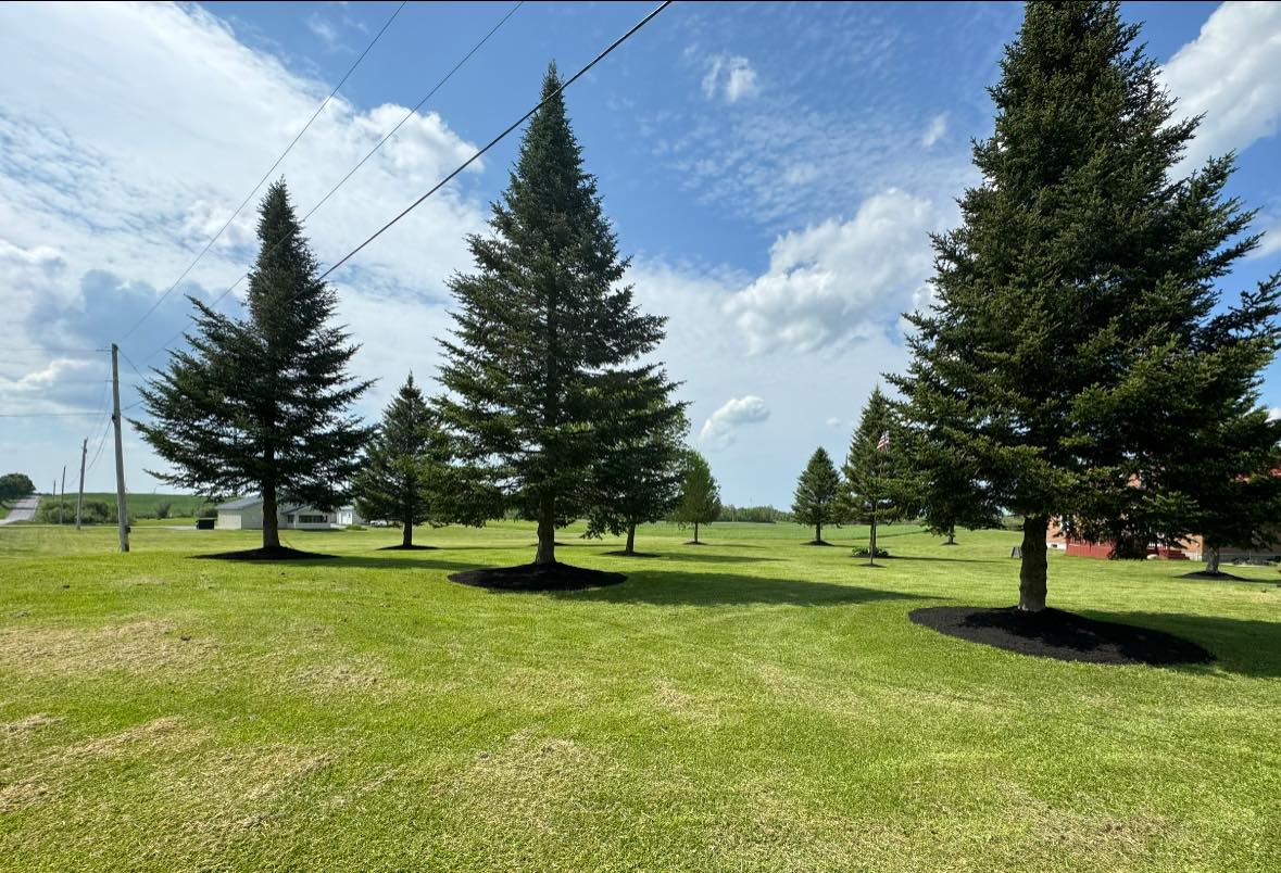  for Roes Lawncare LLC in Lowville, NY