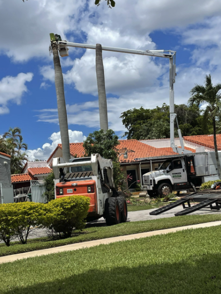  for Nurry Tree Services in Miami, FL
