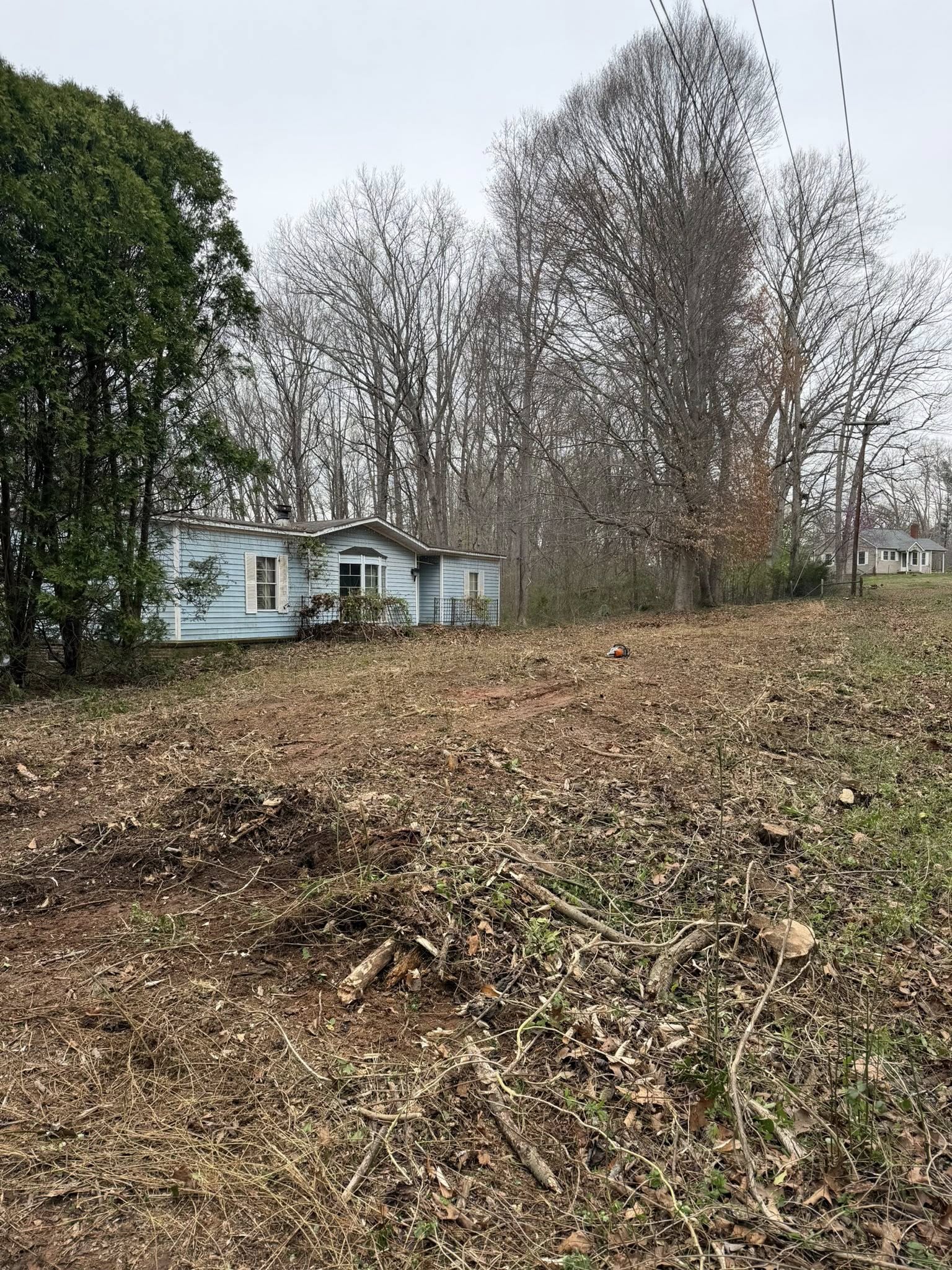  for Ramirez Tree Care in Elkin, NC