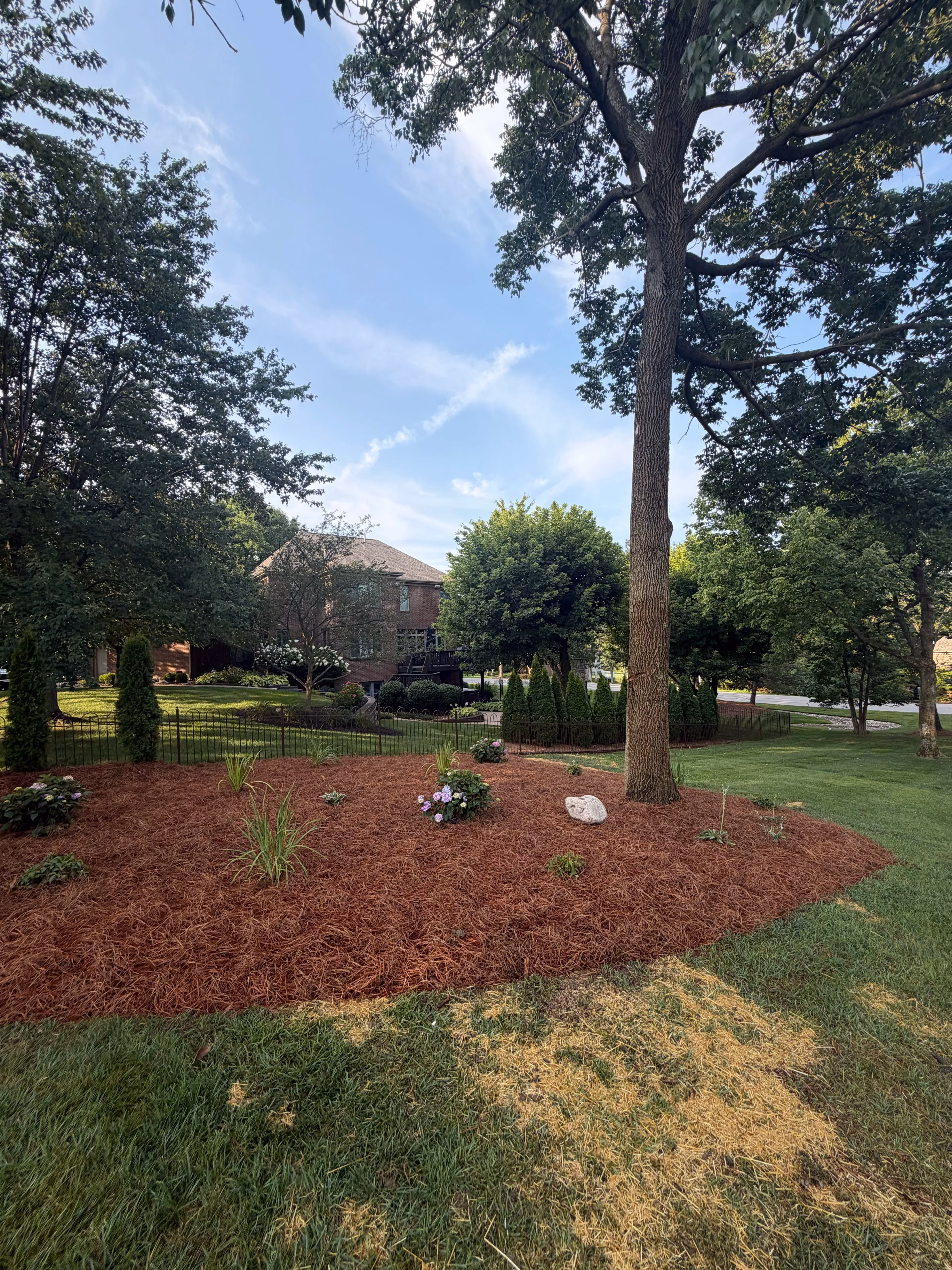 Full Landscape Overhaul in Union KY with Stone and Black Mulch