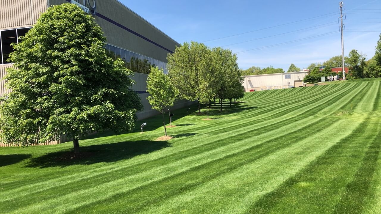 One Awesome Dad Lawn Care Service team in Keller, TX - people or person