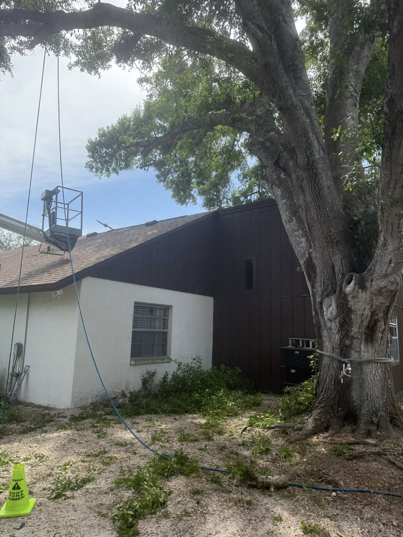  for Damian’s Tree Care in Sarasota, FL