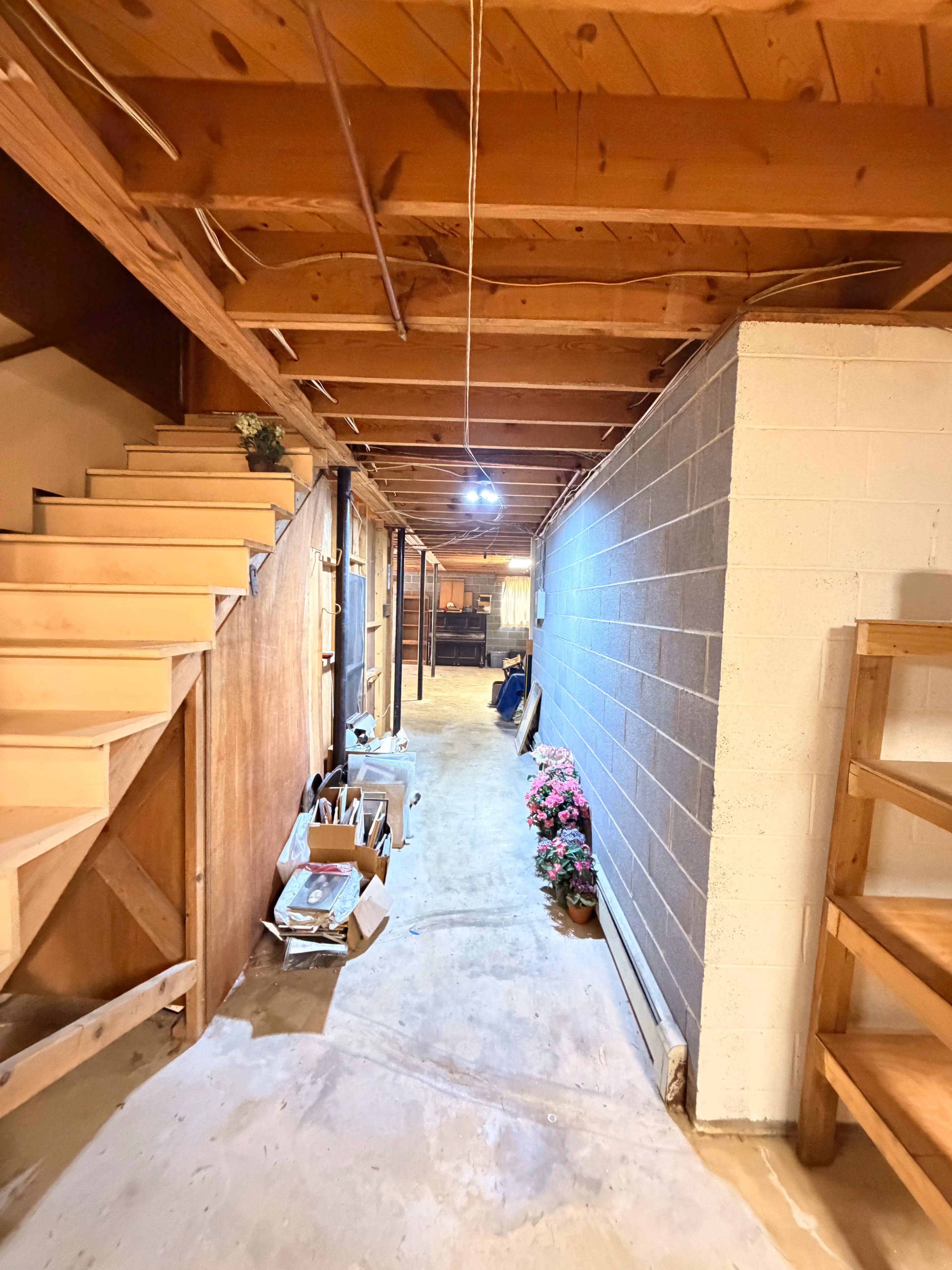 Full Basement Cleanout Clears Years of Accumulated Junk in One Day