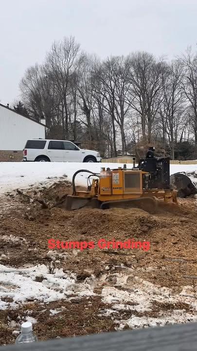  for A2Z Tree and Stump Removal in Charlotte, NC