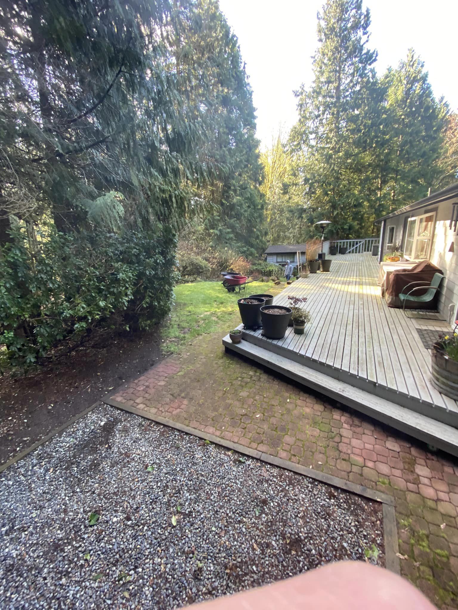 MV Landscapes LLC team in Everett, WA - people or person