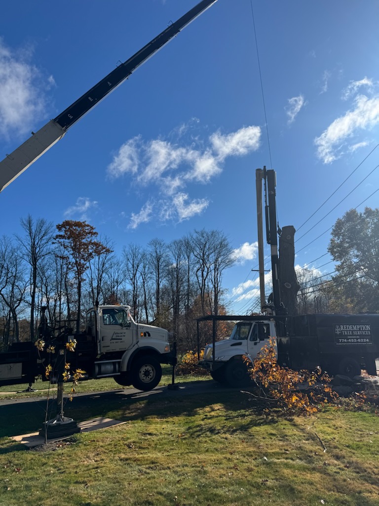 Tree Service company Redemption Tree & Landscape LLC  in Oakham, MA
