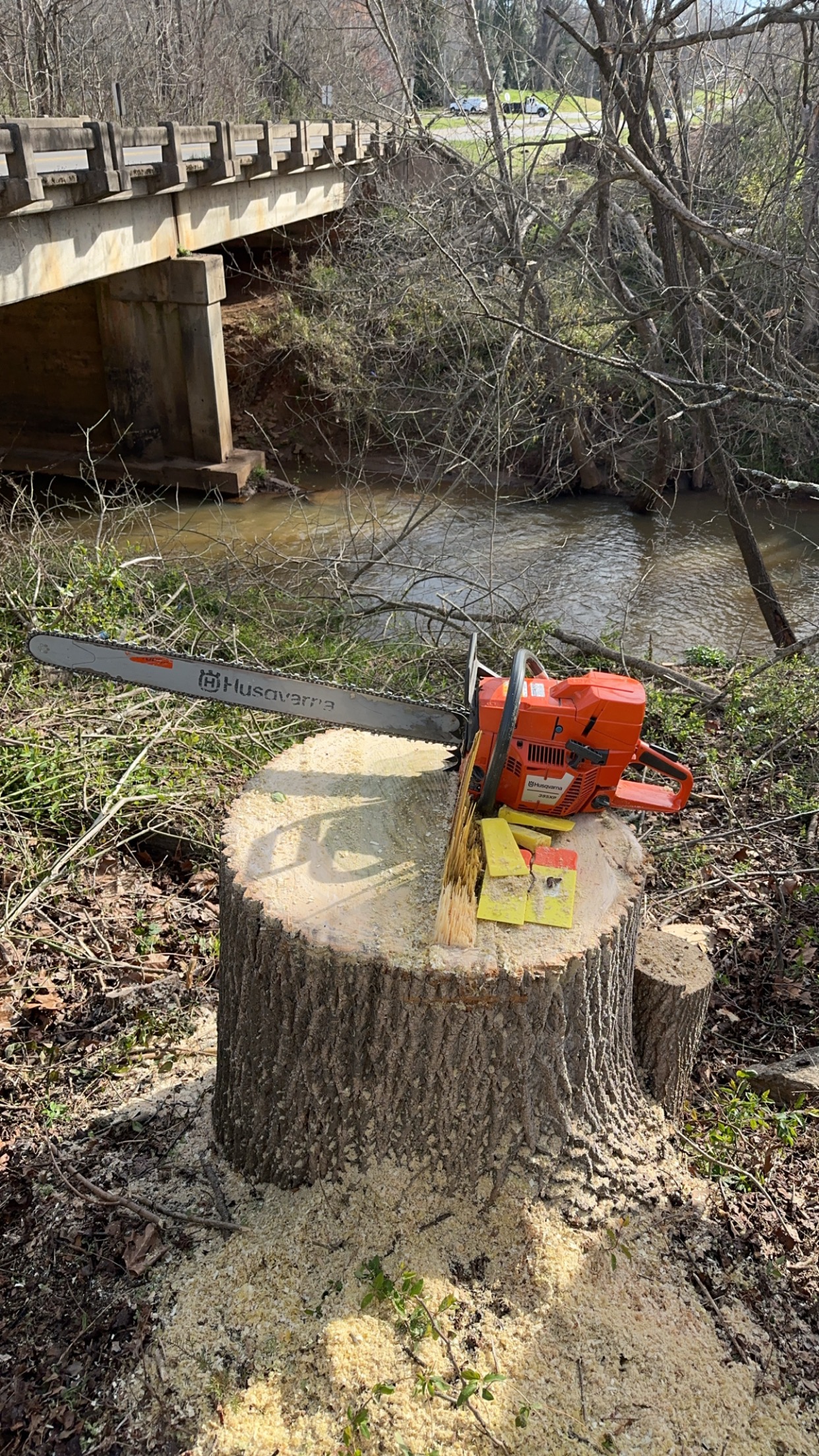  for Ramirez Tree Care in Elkin, NC