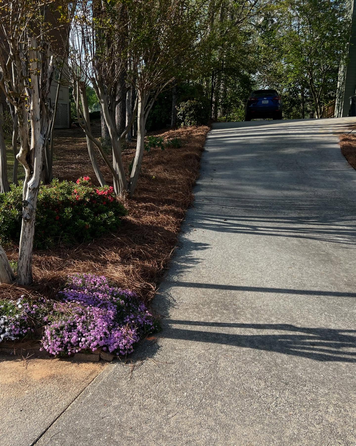  for Amerigreen Lawn & Landscape in Atlanta, GA