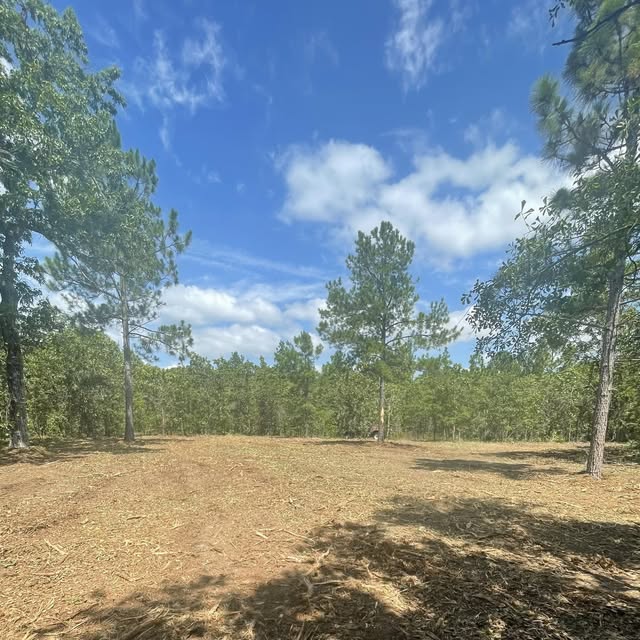  for JA Clearing LLC in Pageland, SC