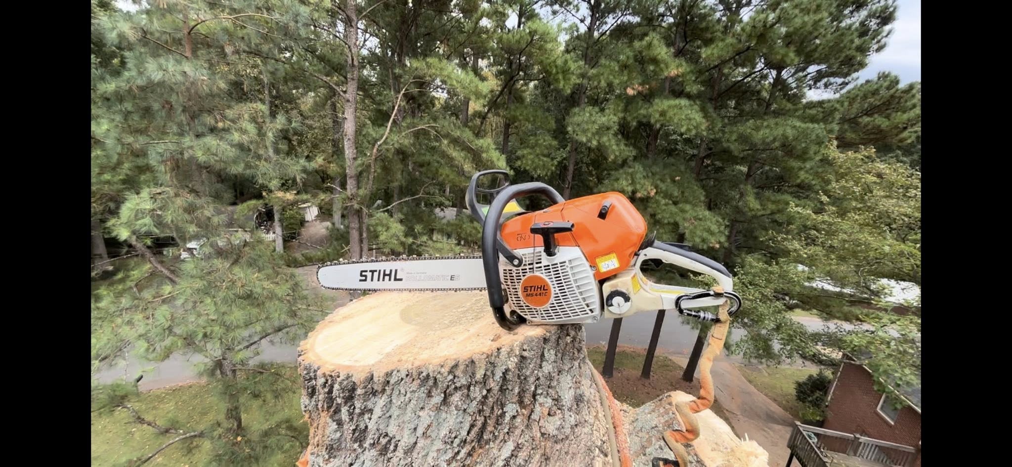 Total Tree Care team in Erwin, North Carolina - people or person