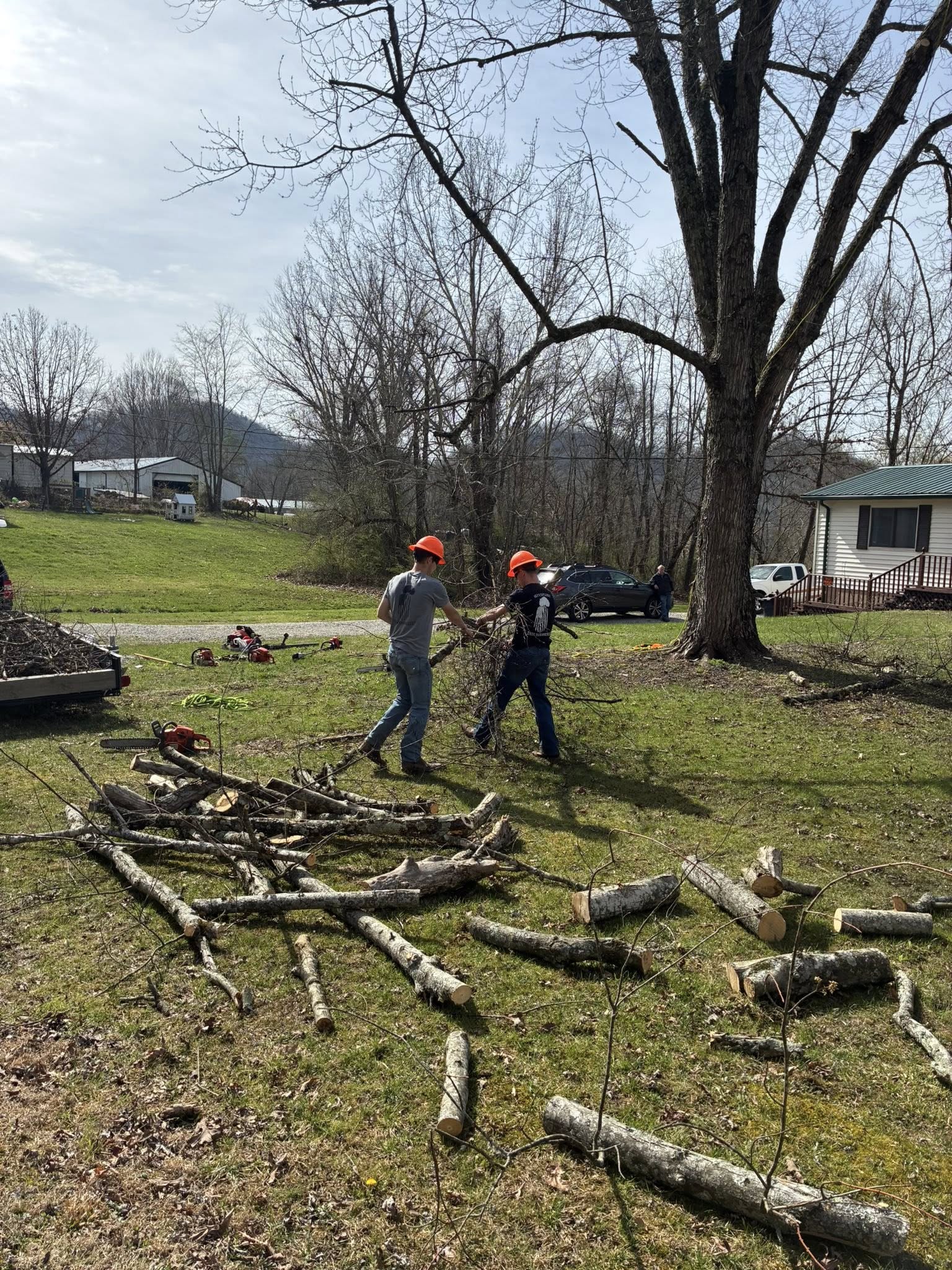  for Skys The Limit Tree Management in Morehead, KY