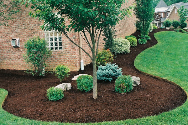 Poarch Creek Landscaping team in Santa Rosa Beach, FL - people or person