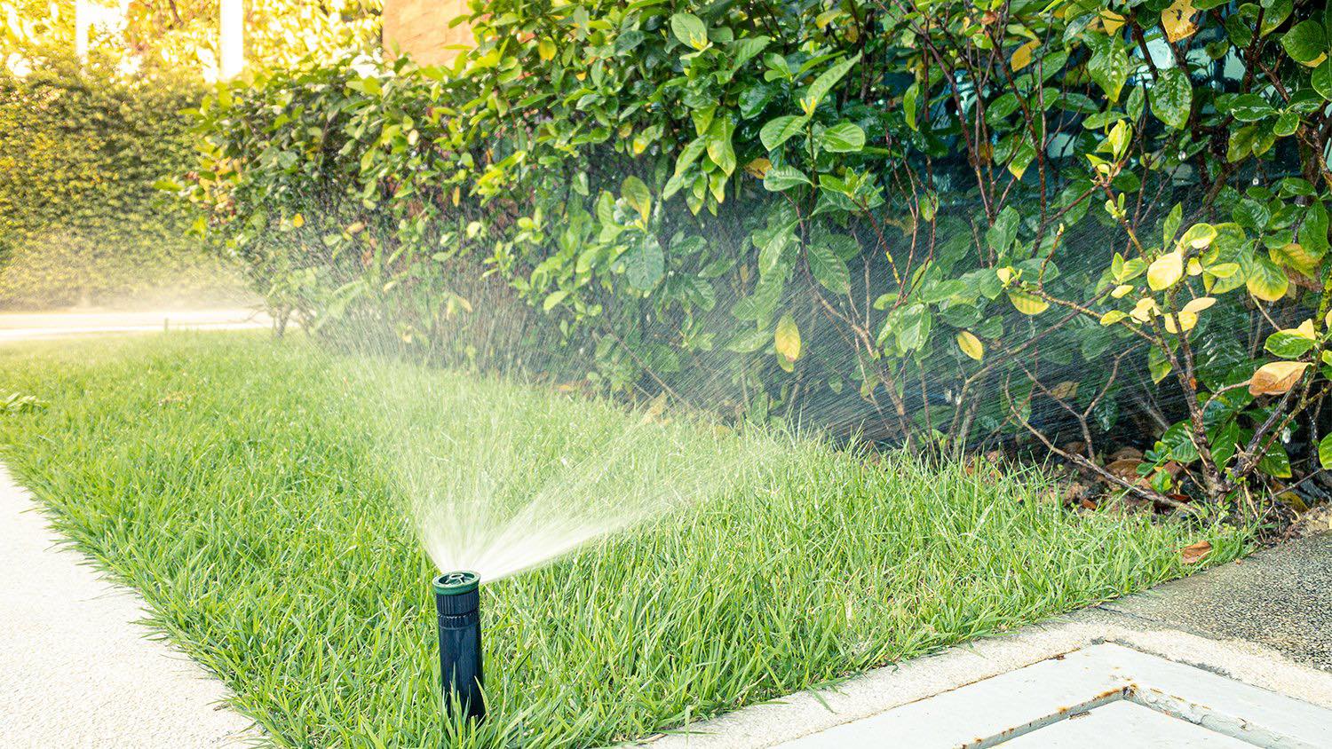  for The Sprinkler Lady LLC in Port Orange, FL