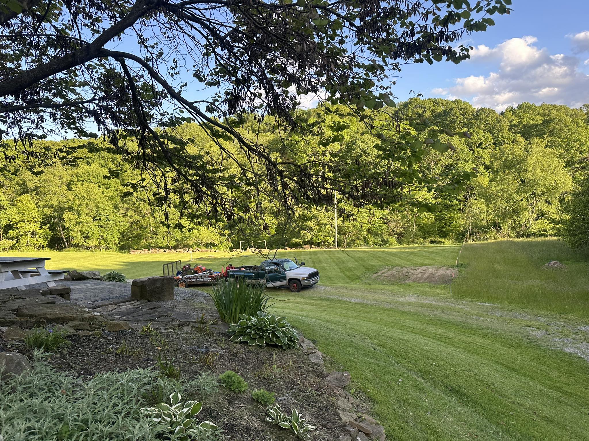 cover-photo
