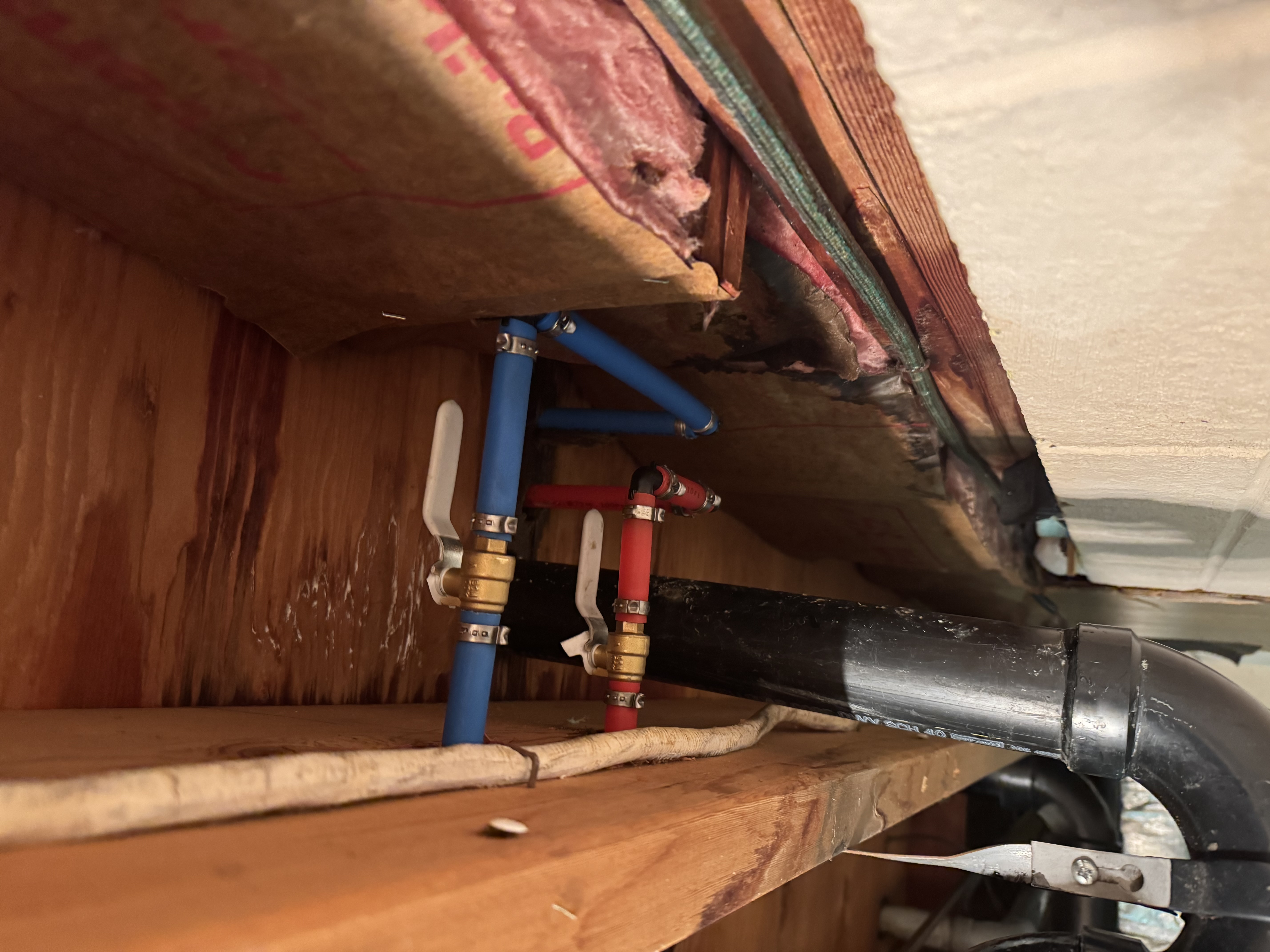  for Jersey Drain Masters in Williamstown, NJ