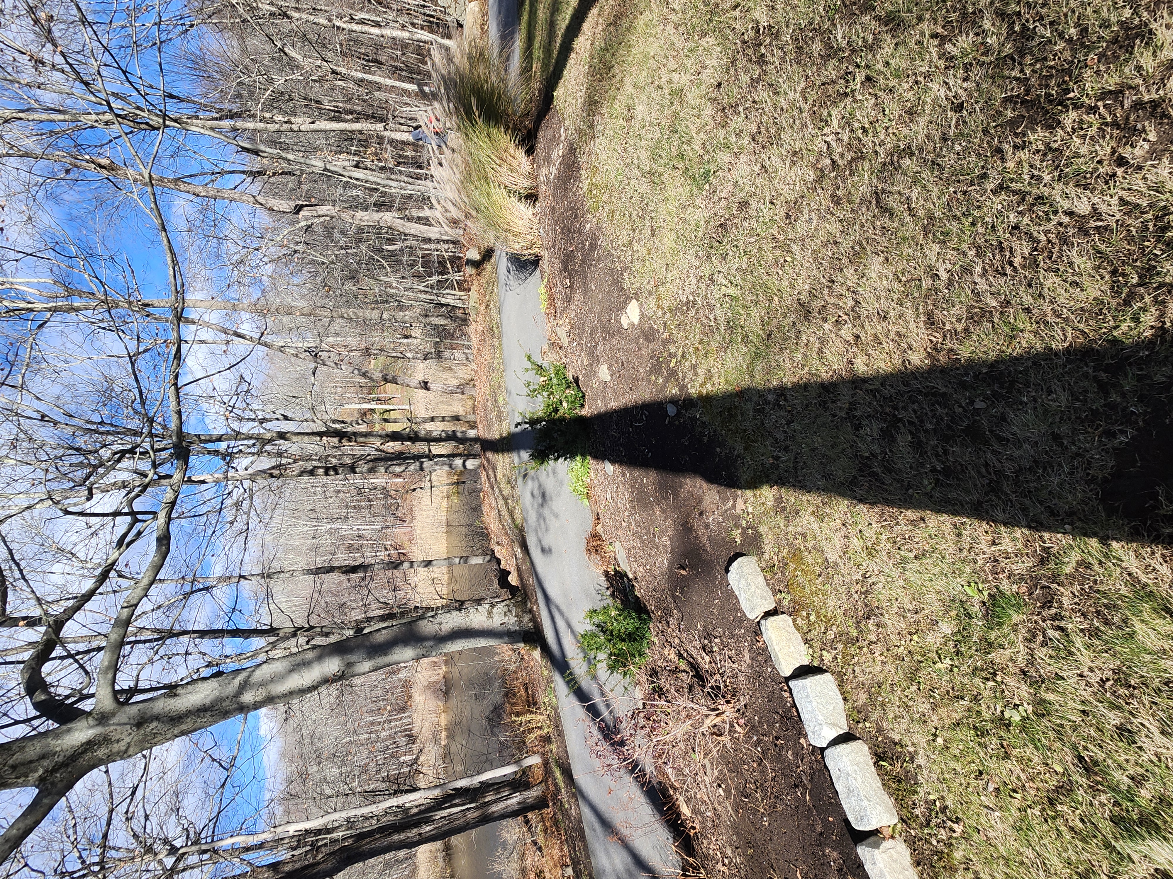  for Landscape Innovations LLC in Torrington, CT