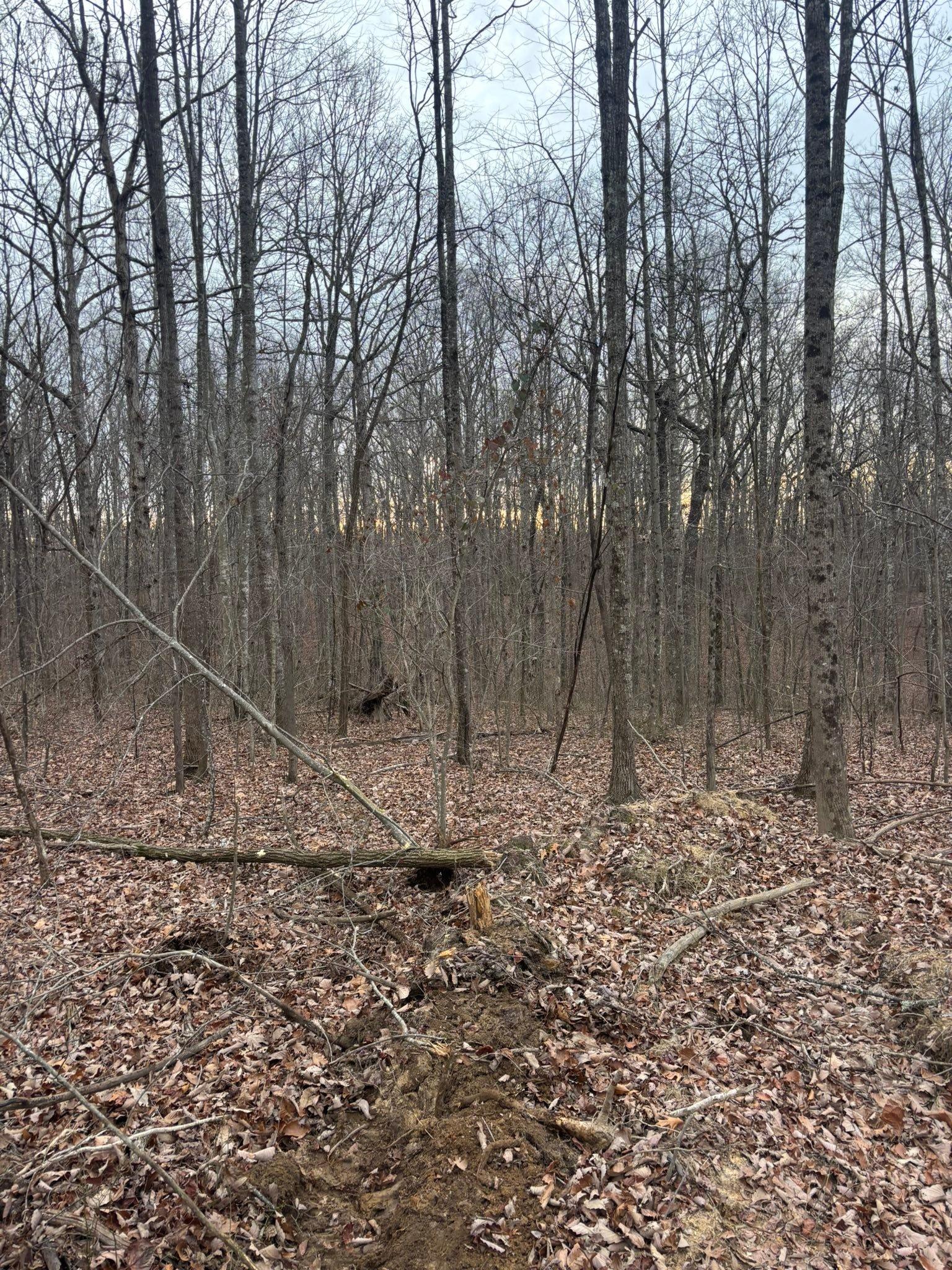  for TD Dirtworks in Tracy City, TN