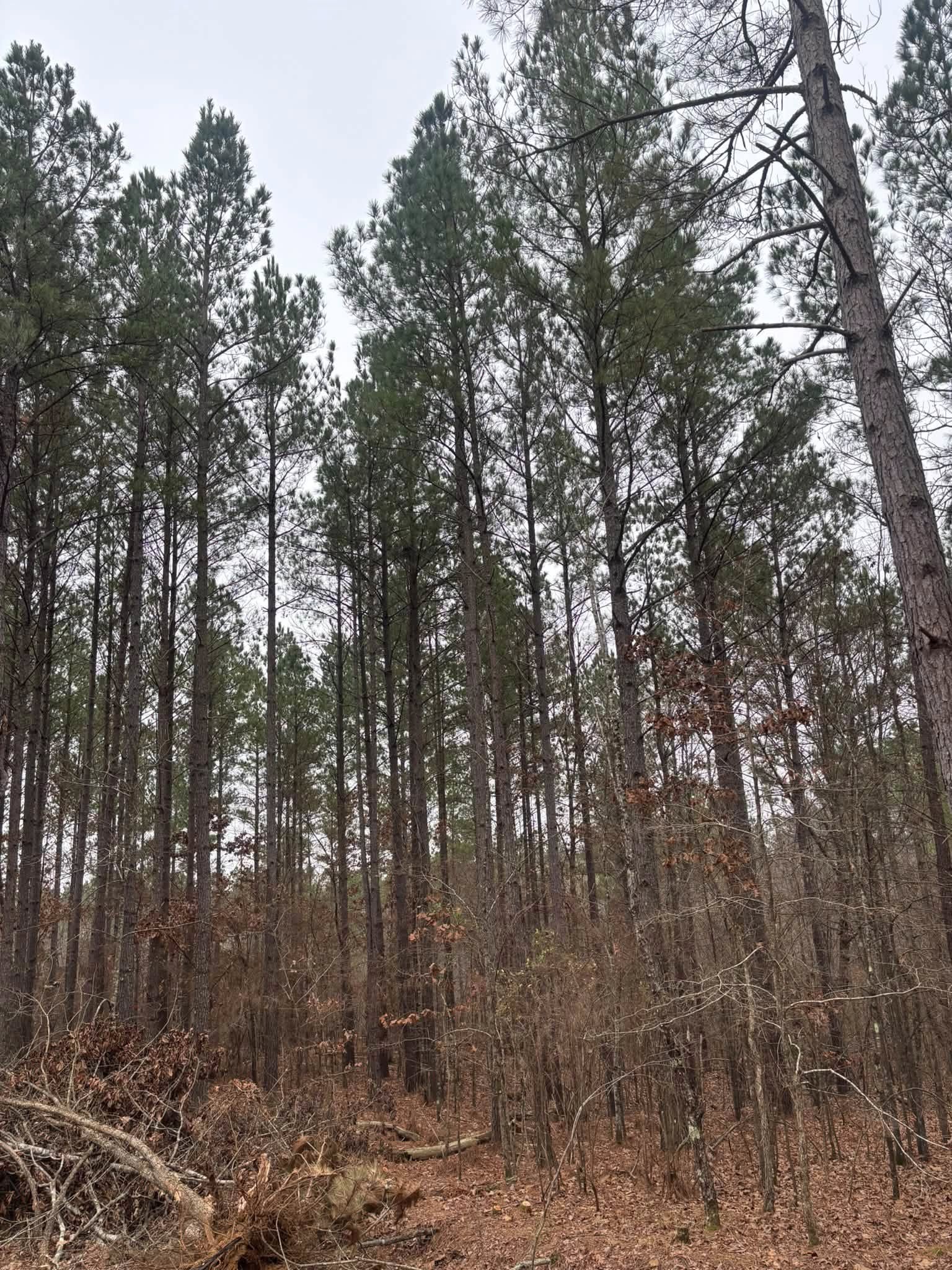  for Ross Excavation & Land Development in Middleton, TN