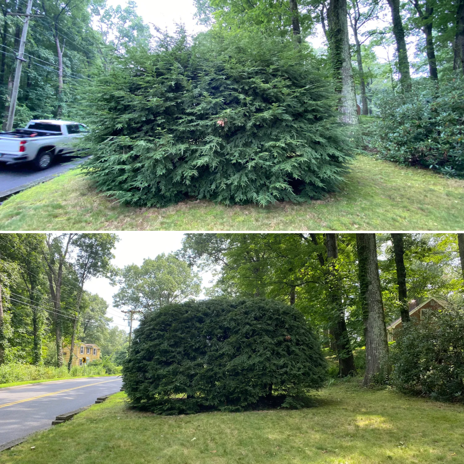  for Stevenson Property Maintenance in Cheshire, CT