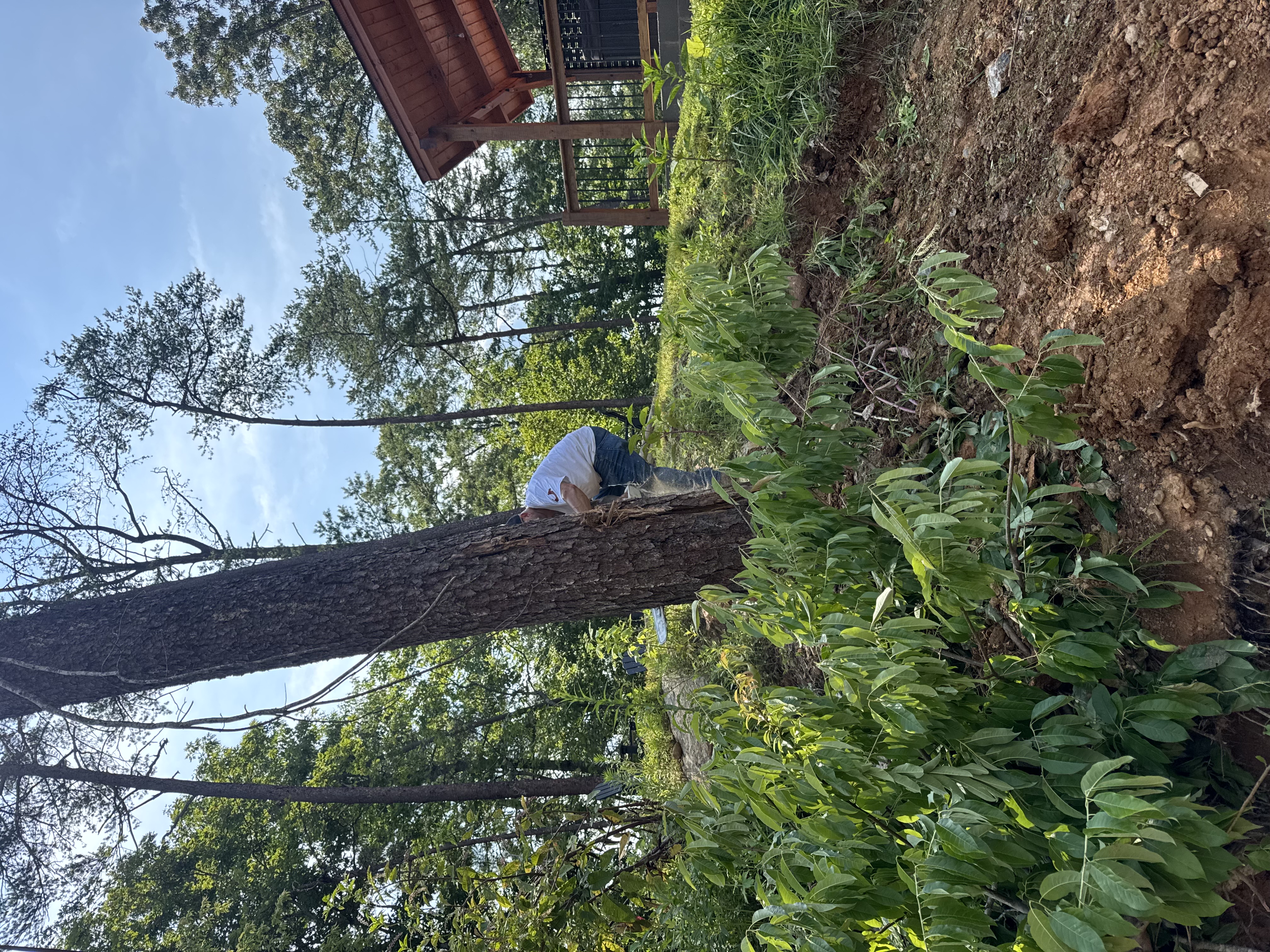  for ProModern Construction, LLC in Seymour, TN
