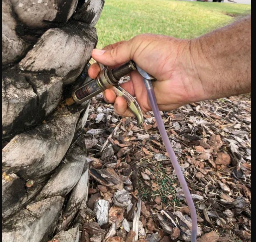  for Bridgewater Arbor Care LLC in Jupiter, FL