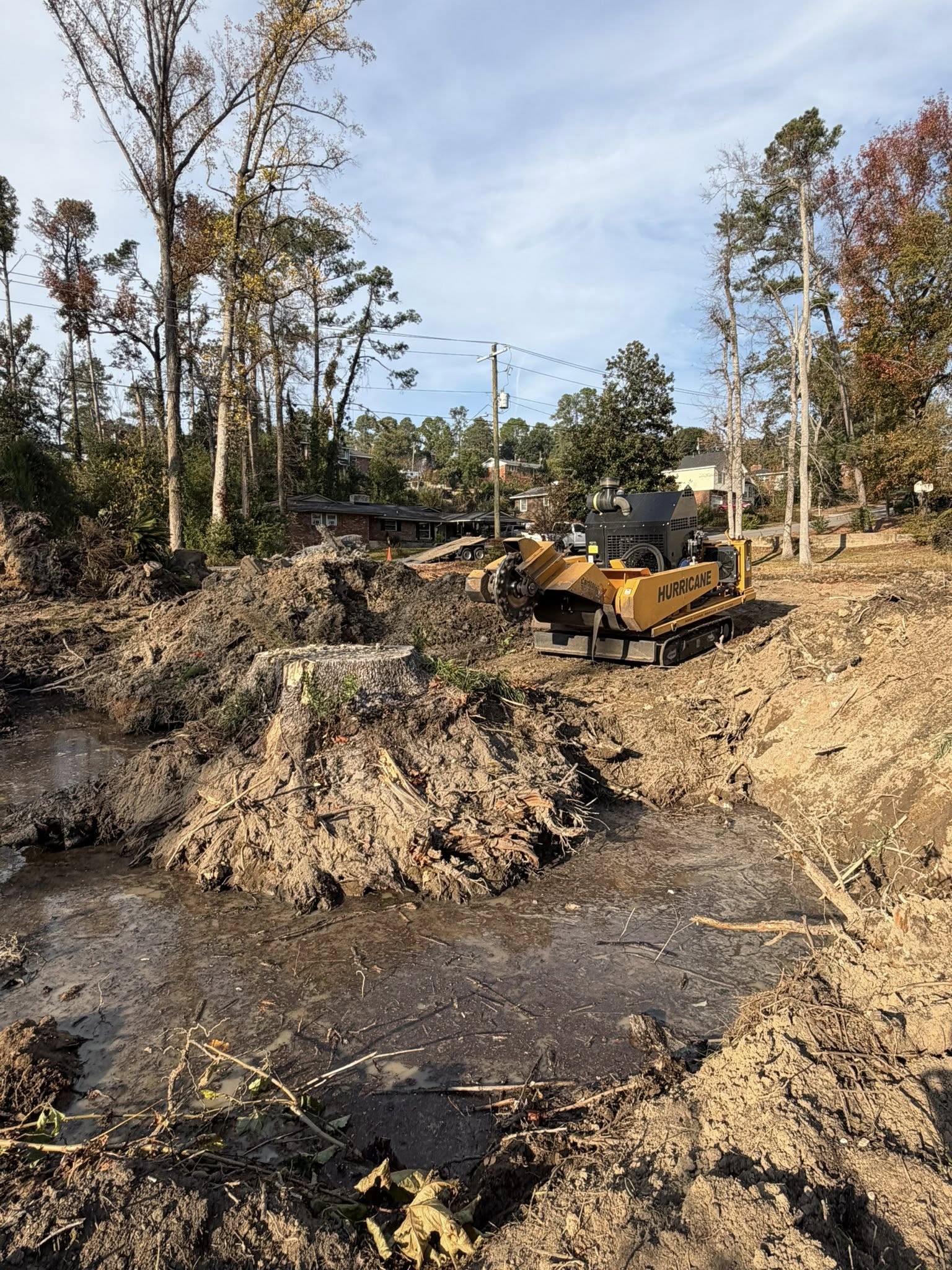  for Dozier Stump Grinding in Augusta, GA