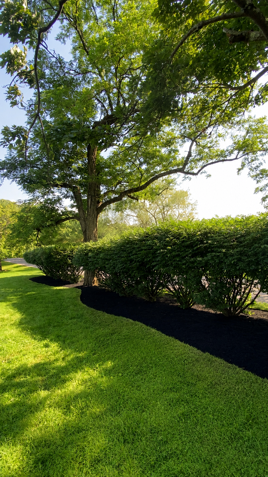 Saul’s Landscaping Services team in Jersey Shore, PA - people or person
