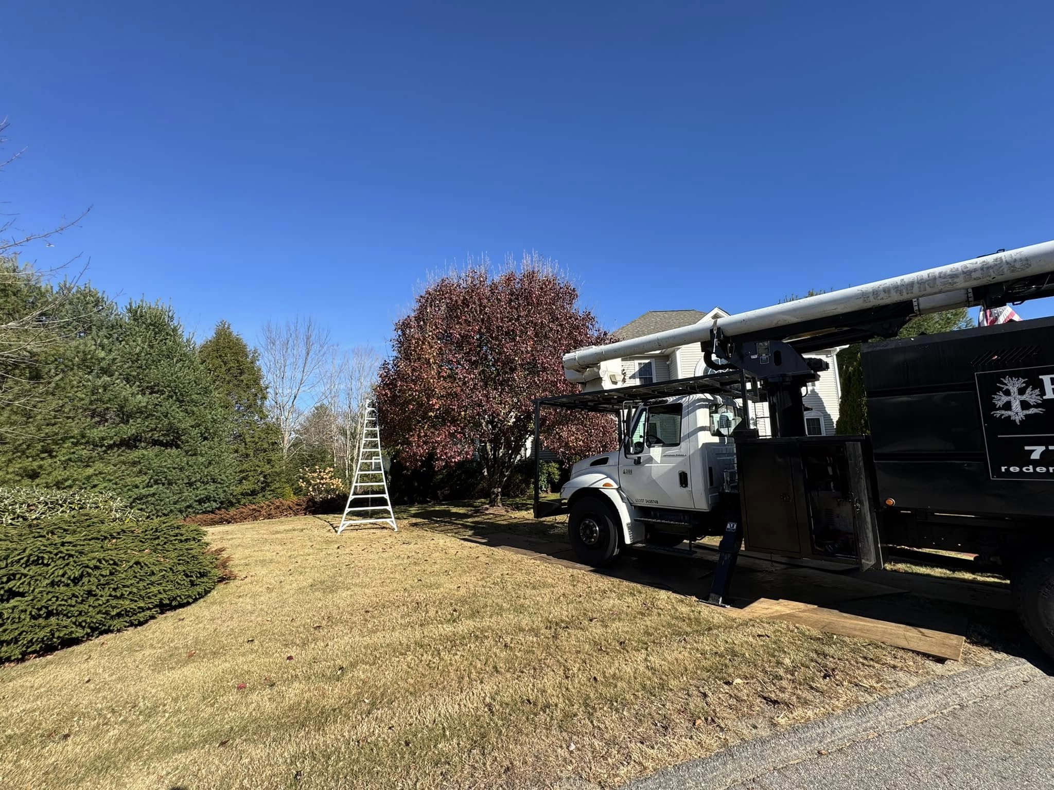 Tree Service company Redemption Tree & Landscape LLC  in Oakham, MA