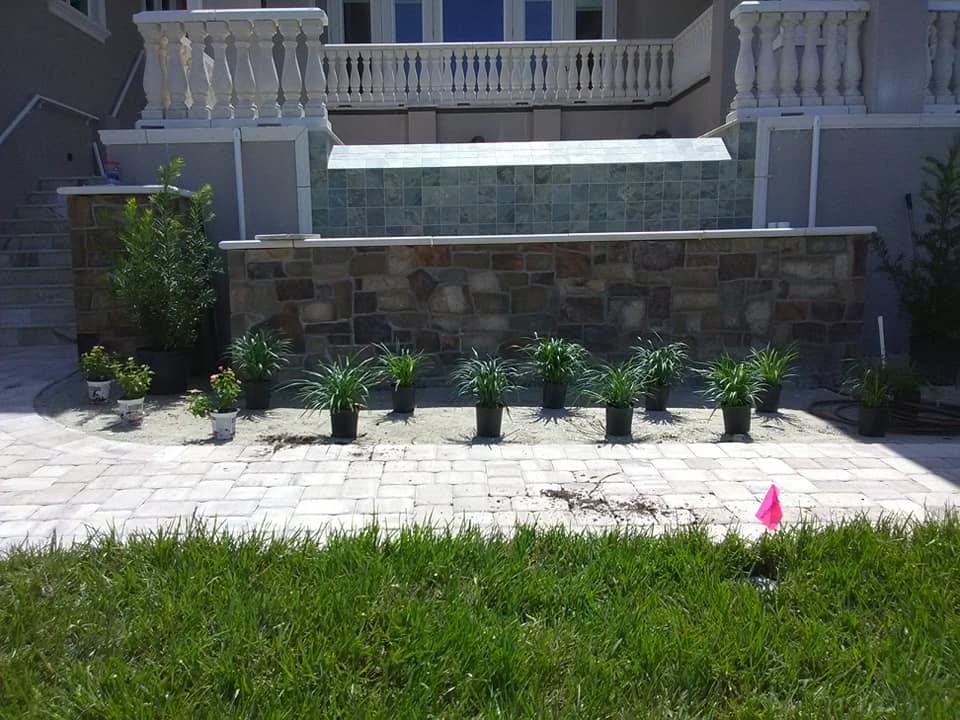  for Alpha Trees Service and Property Management in Port Charlotte, FL