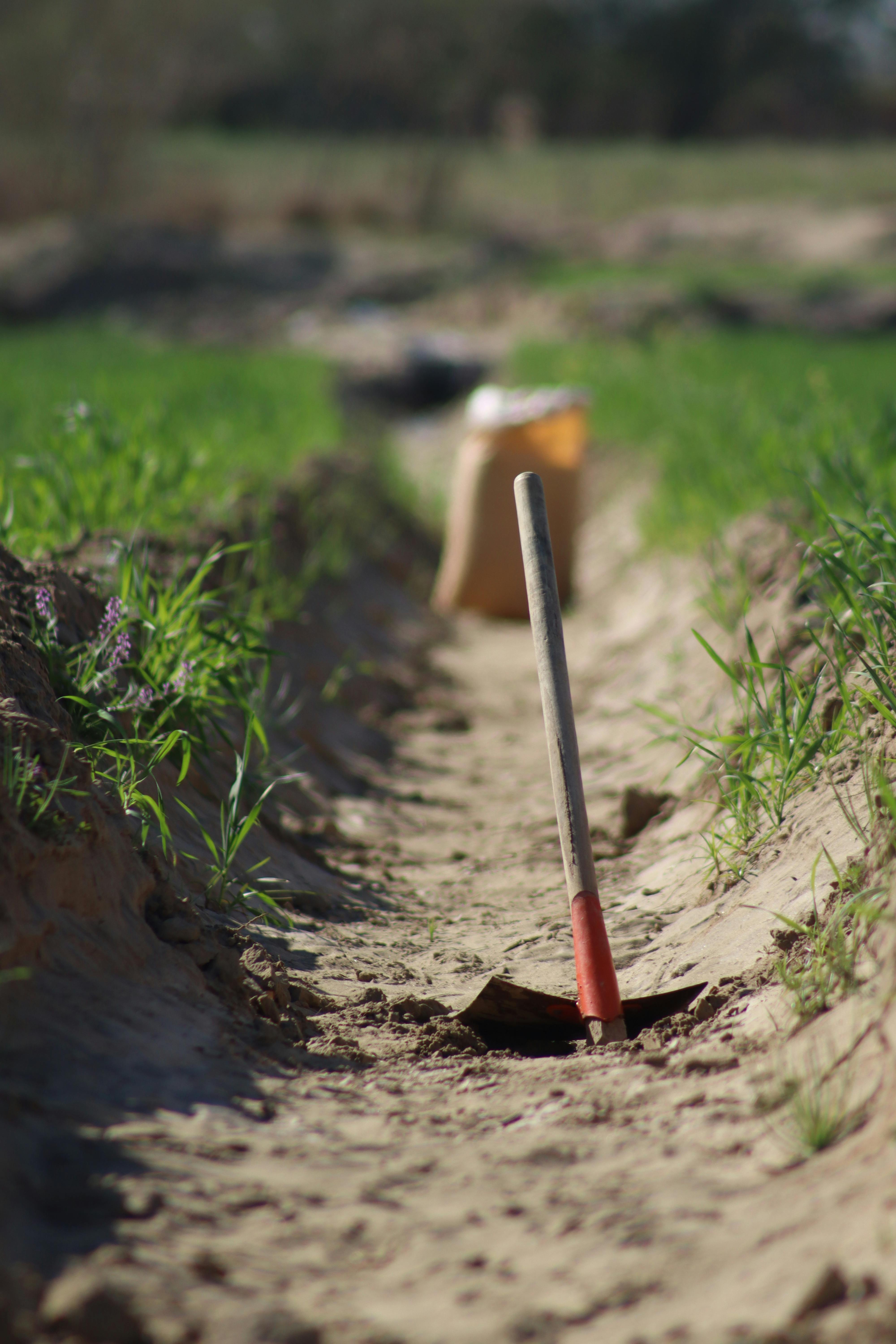  for Elite Seed and Erosion LLC in McDade, TX