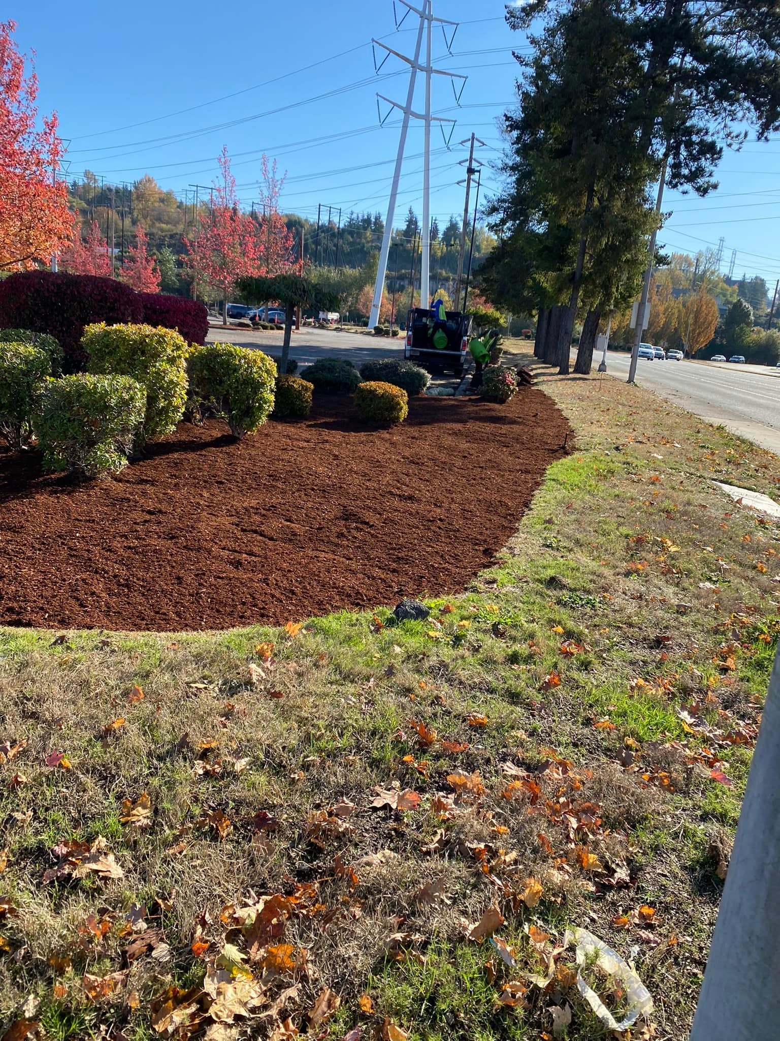 Family Landscaping & Irrigation team in Auburn, WA - people or person