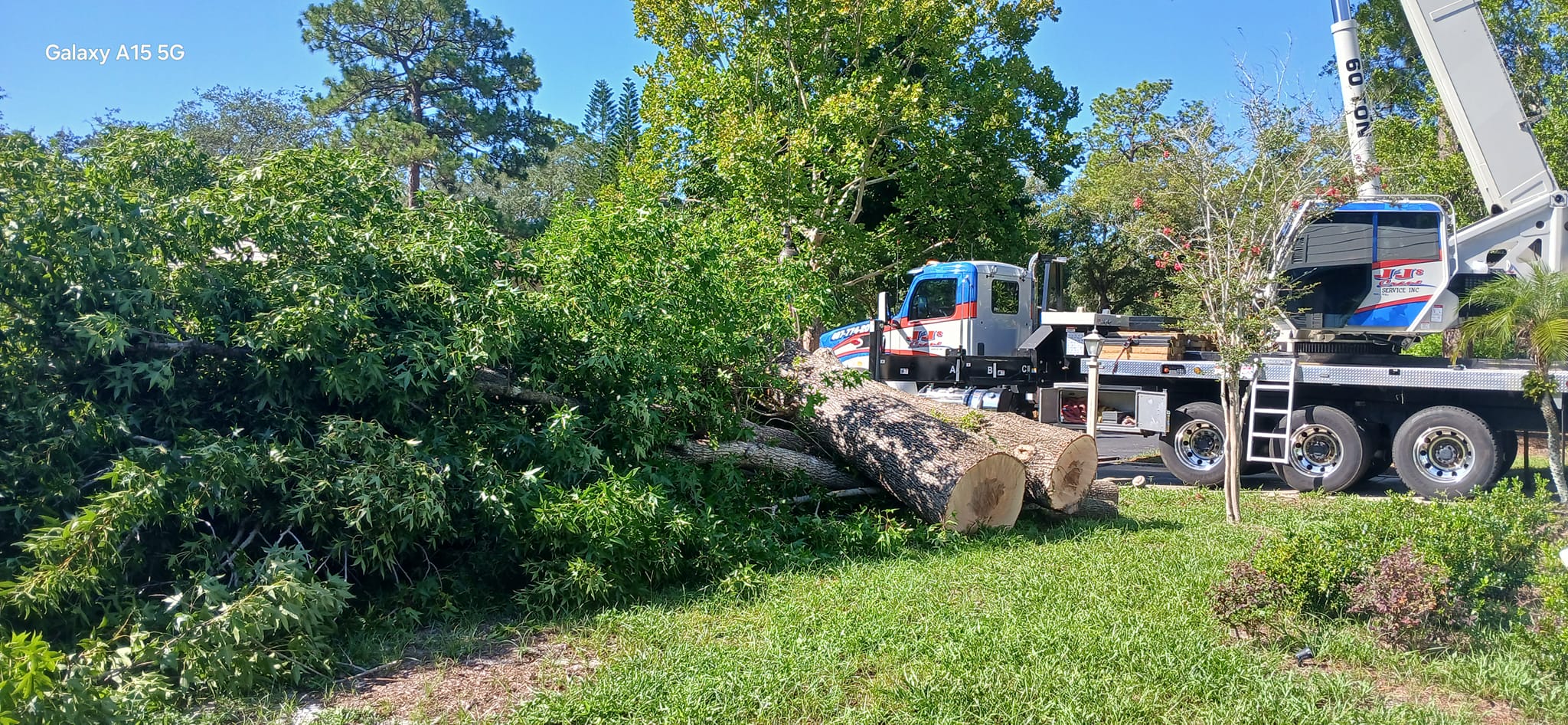  for A Southern Style Tree Service in Orlando, FL