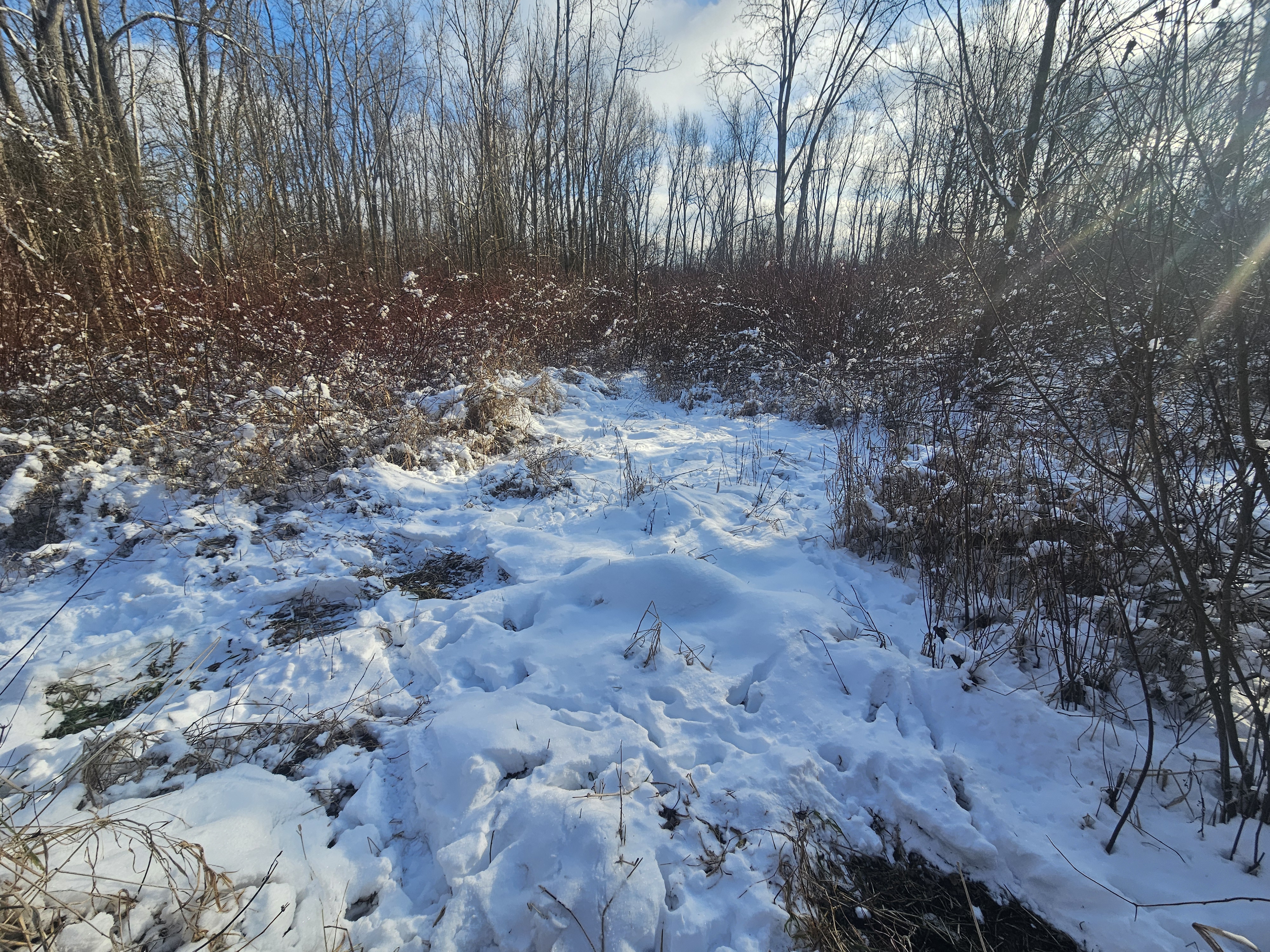  for Bluff Country Whitetails in Grand Ledge, MI