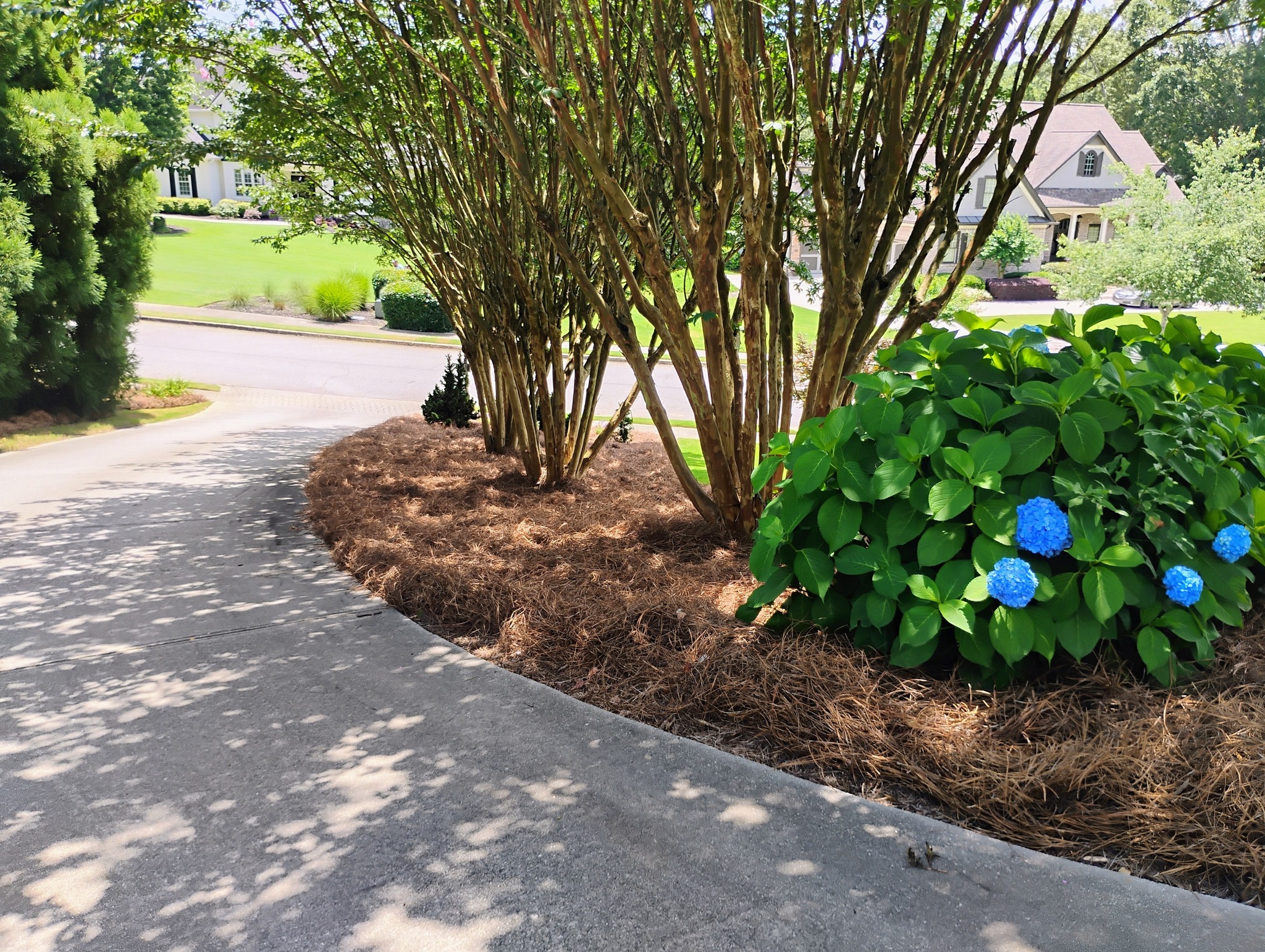 Landscaping & Hardscaping company BAM Another Pinestraw Lot in Flowery Branch, GA