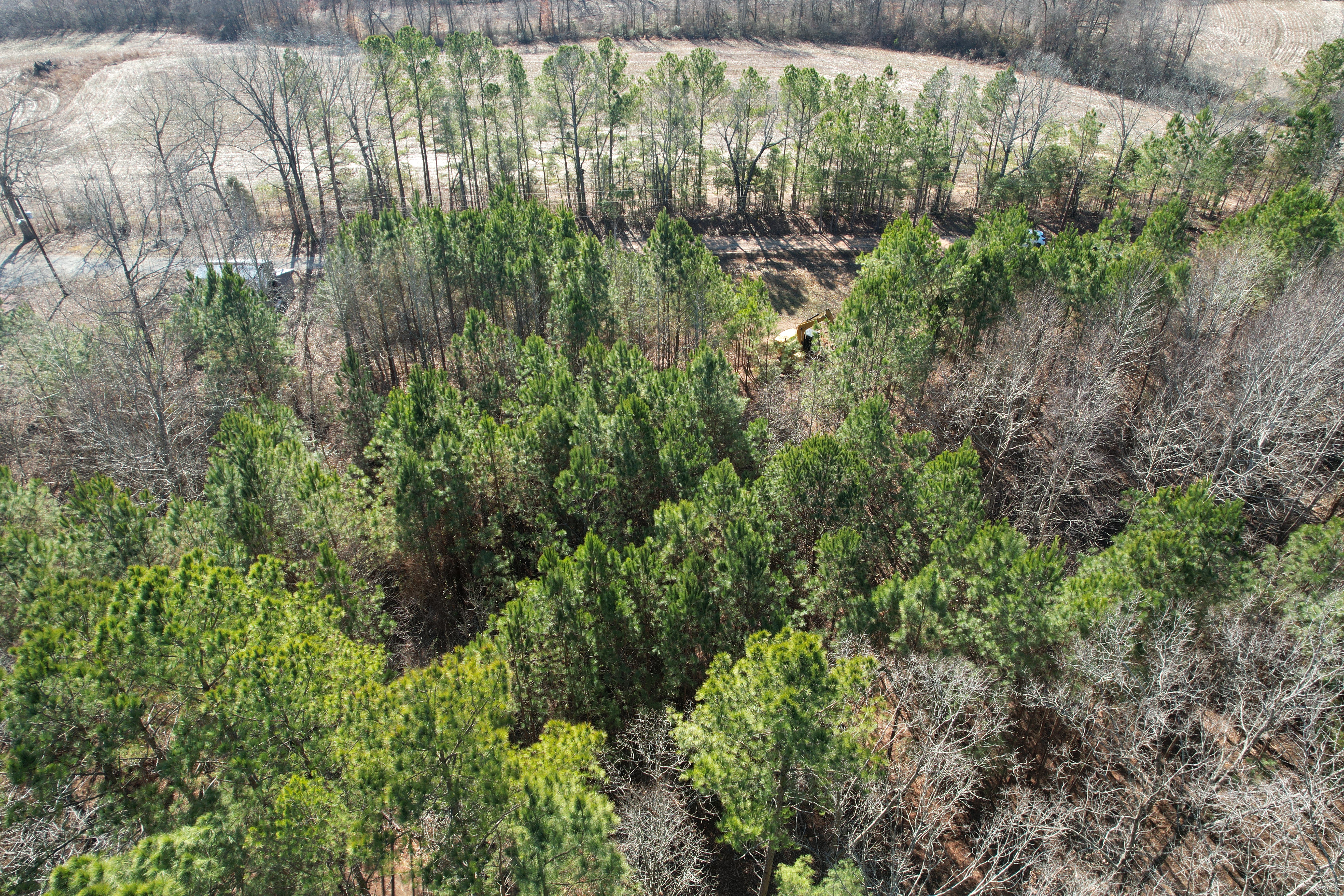  for West TN Dirt Works in Lexington, TN