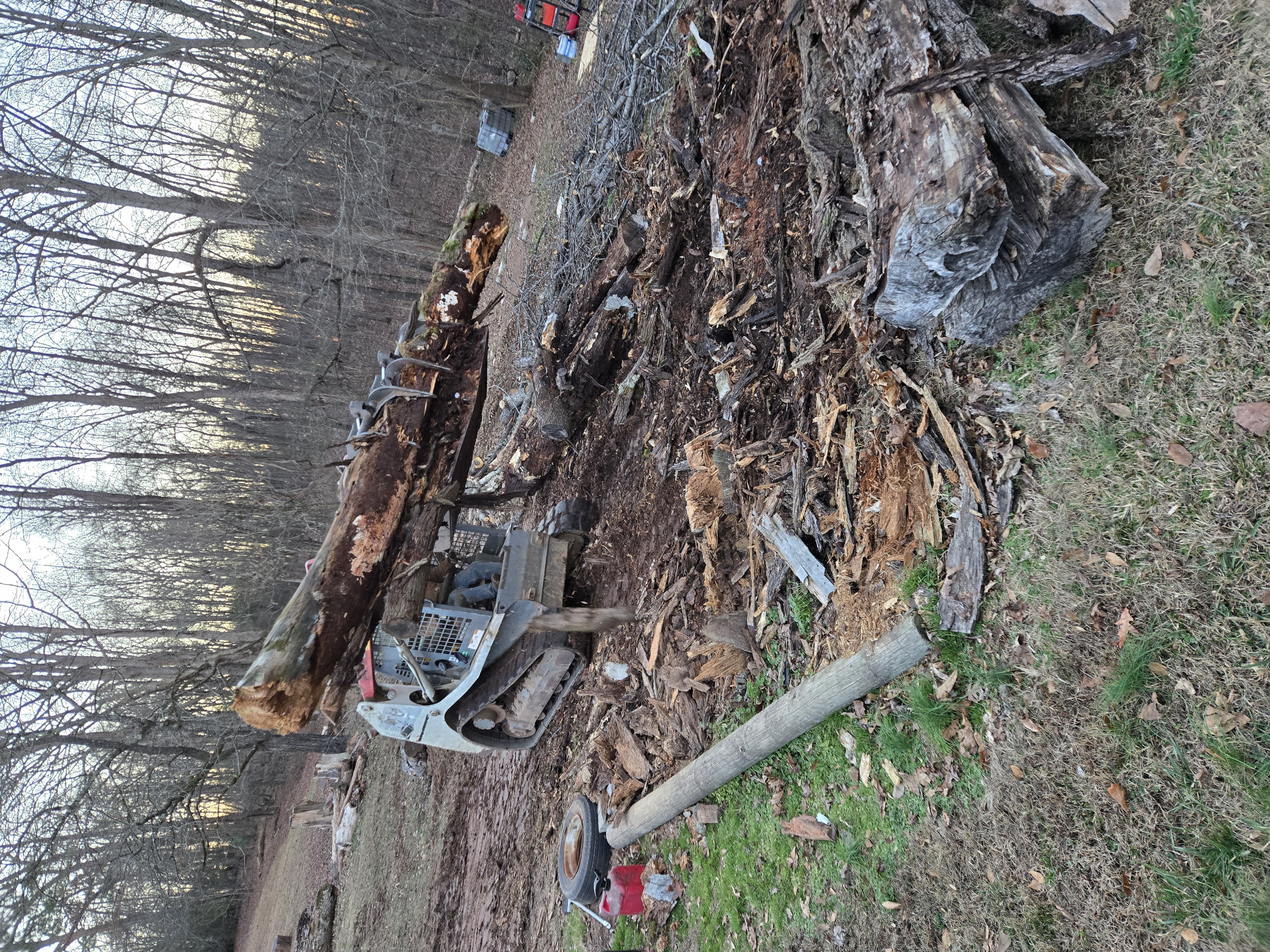  for GA Bear Dumpster Rental in Cumming, GA