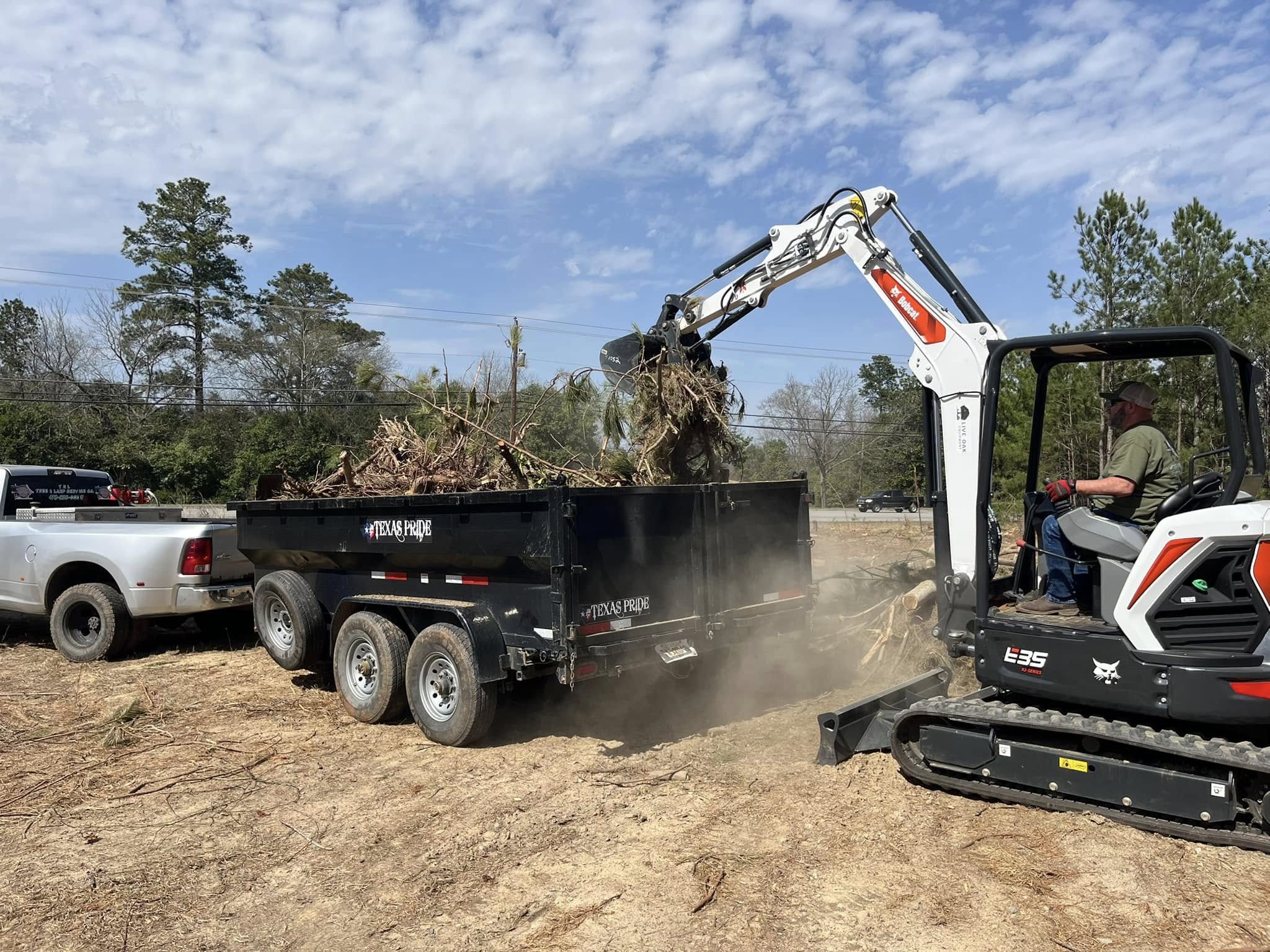  for T N L - Tree and Land Service in Reynolds, GA