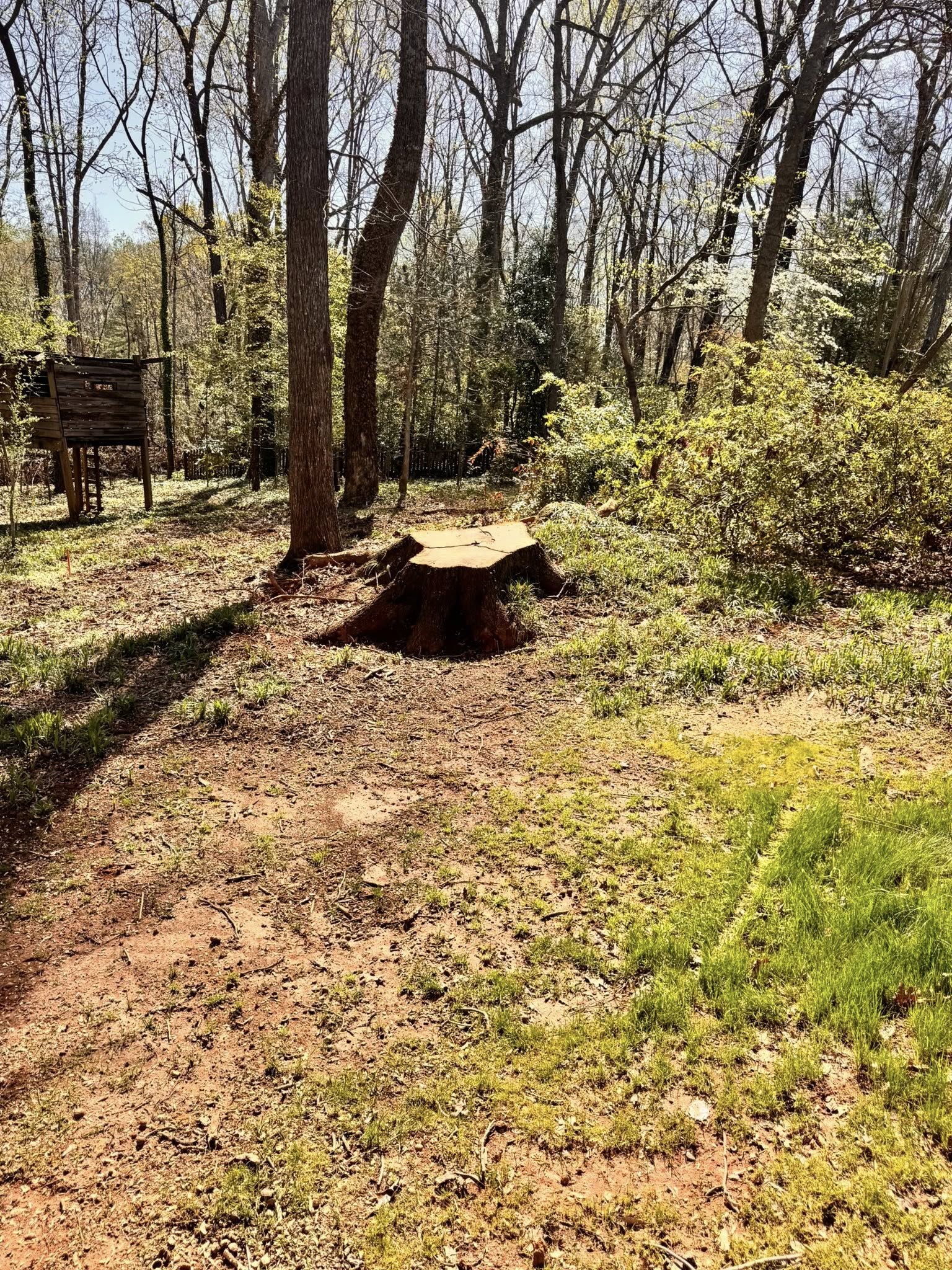  for Freedom Landscaping in Travelers Rest, SC