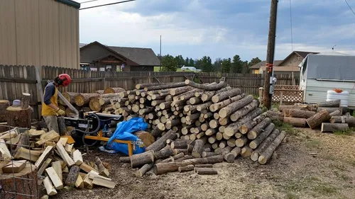 Beetle Busters LLC tree care work