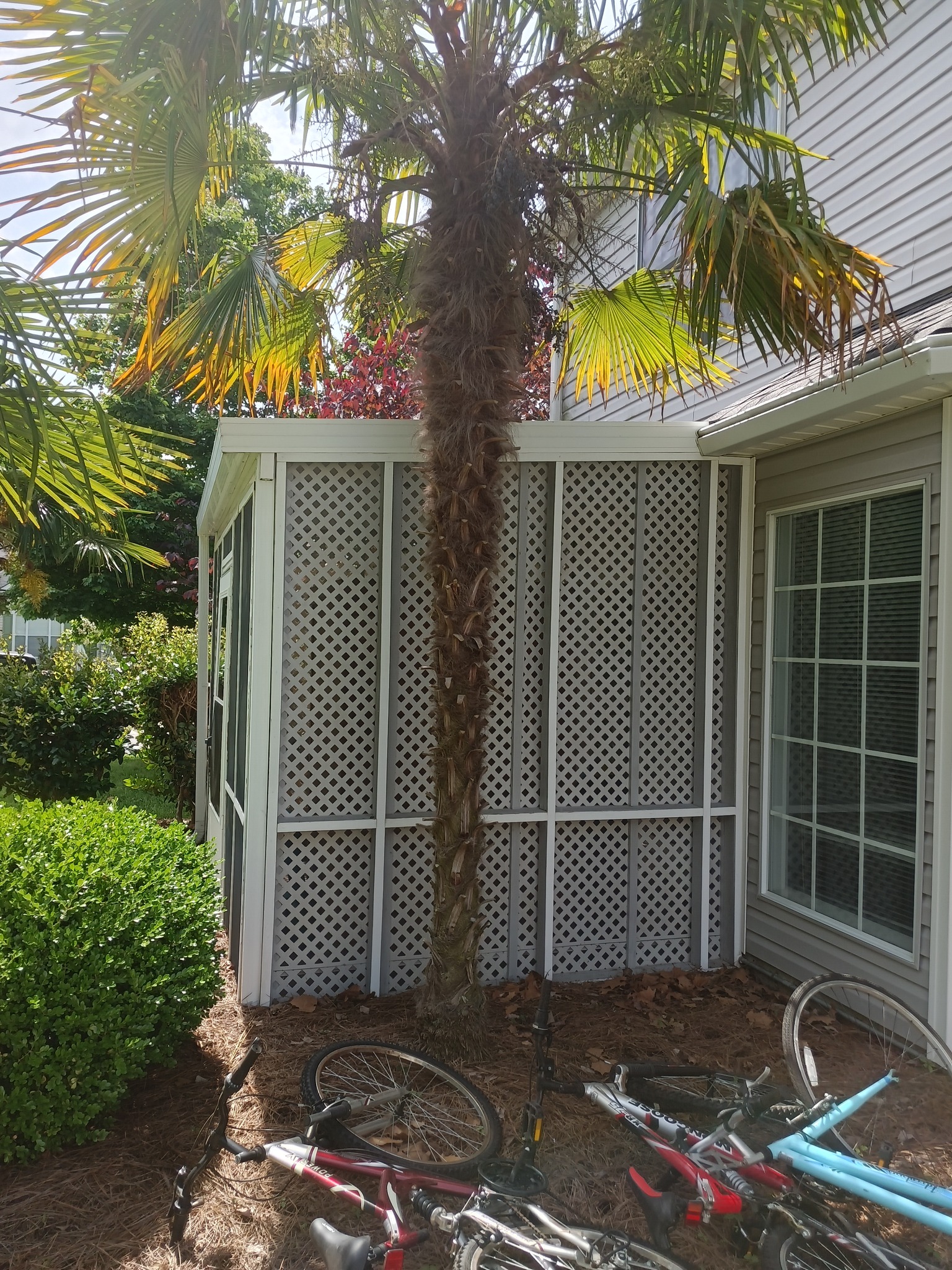  for Infinite Development and Management, LLC in Columbia, SC