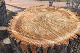  for Fairbairn Tree trimming in Willmar, MN