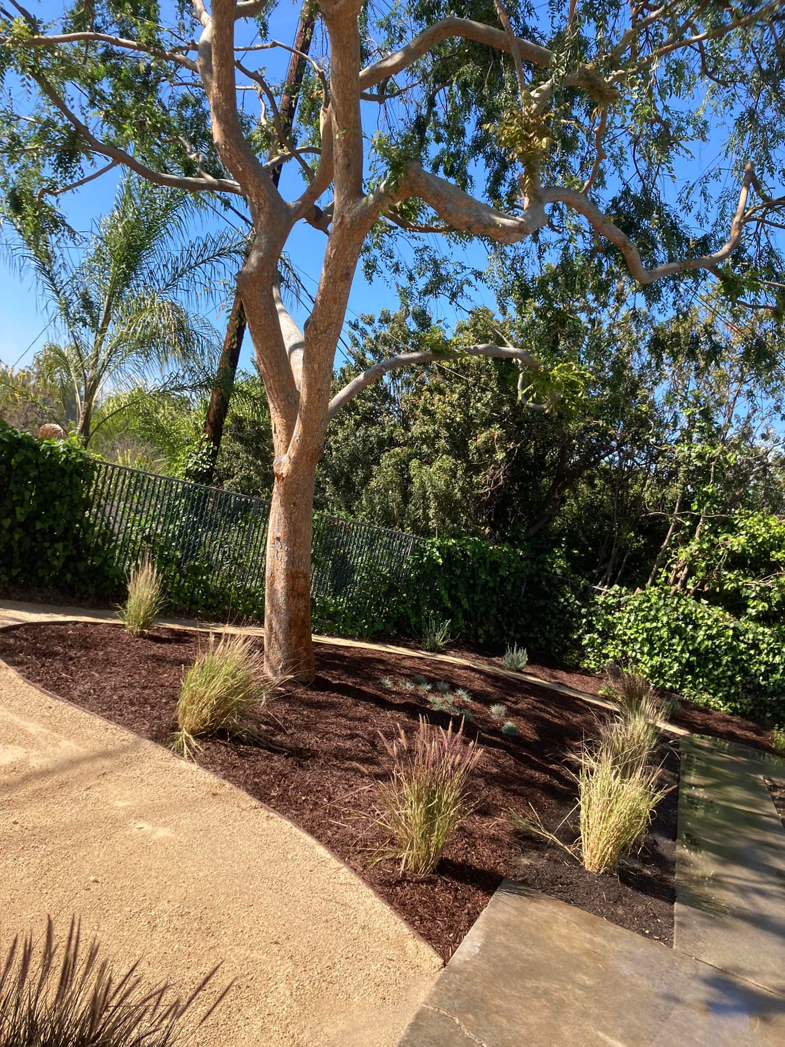  for Green Planet Services in La Habra Heights, CA